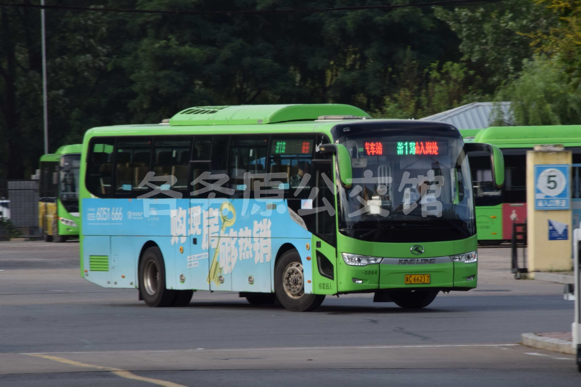 热门图片
