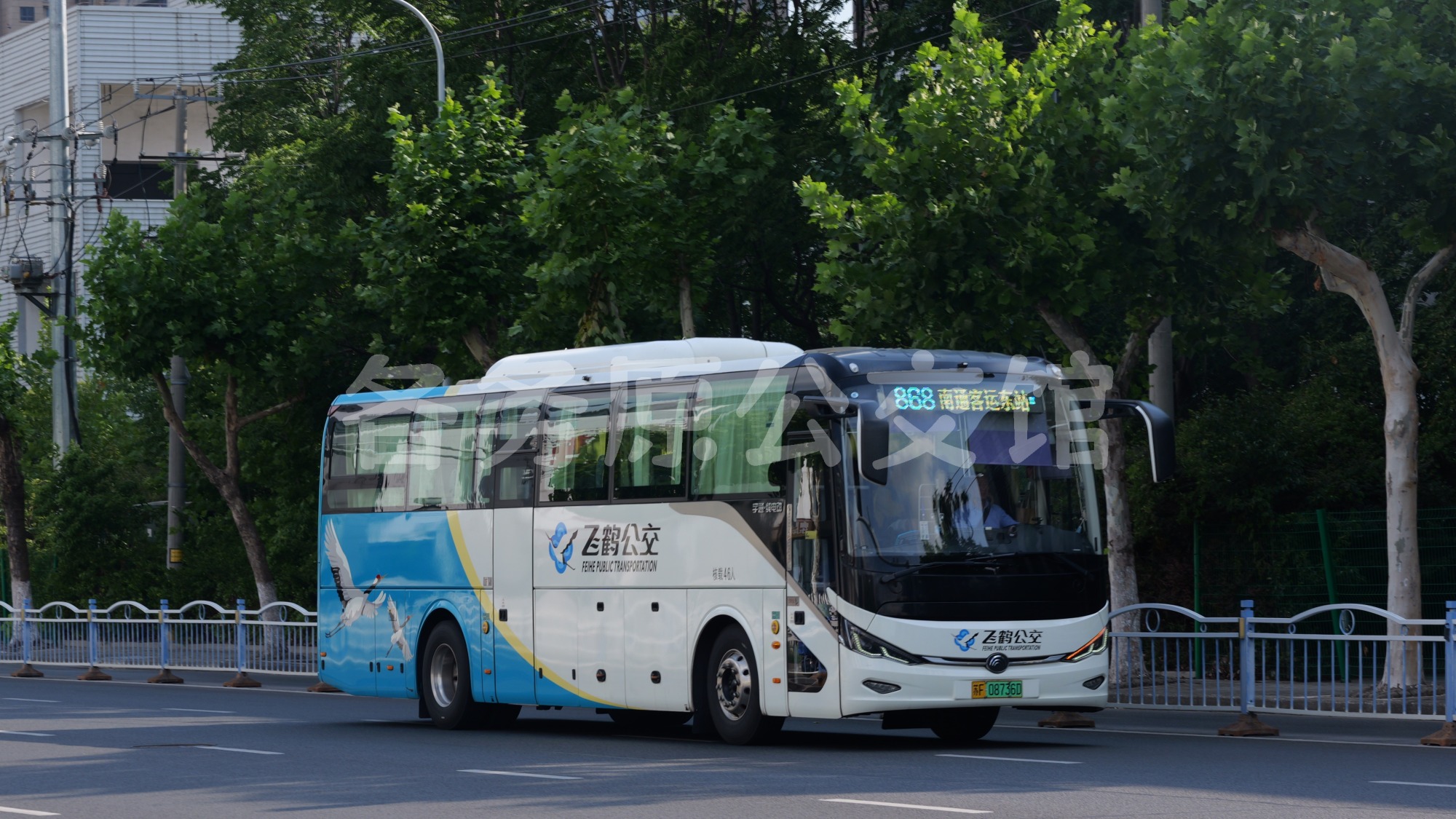 ZK6117BEVG16图片