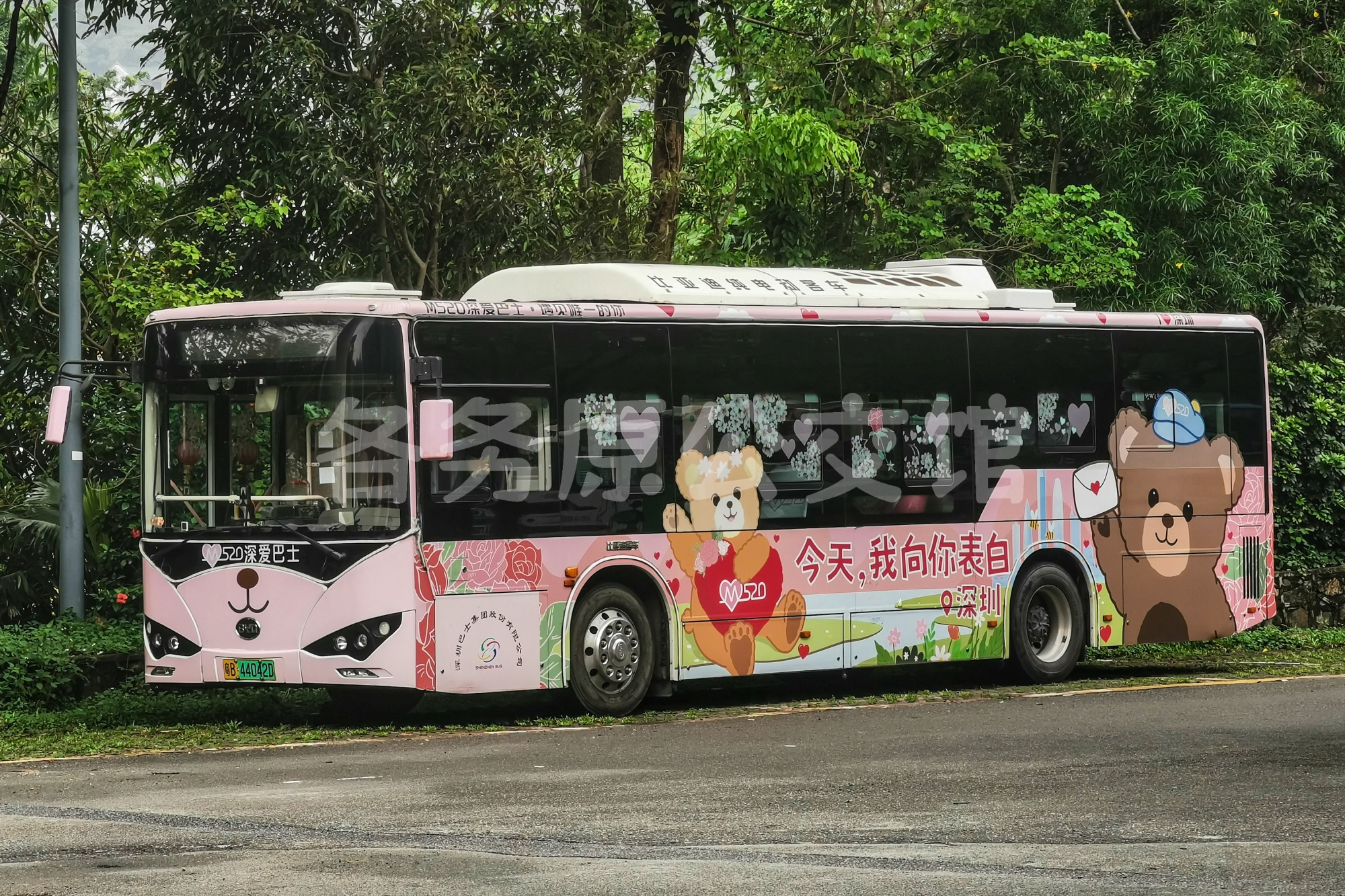 BYD6100LGEV9图片