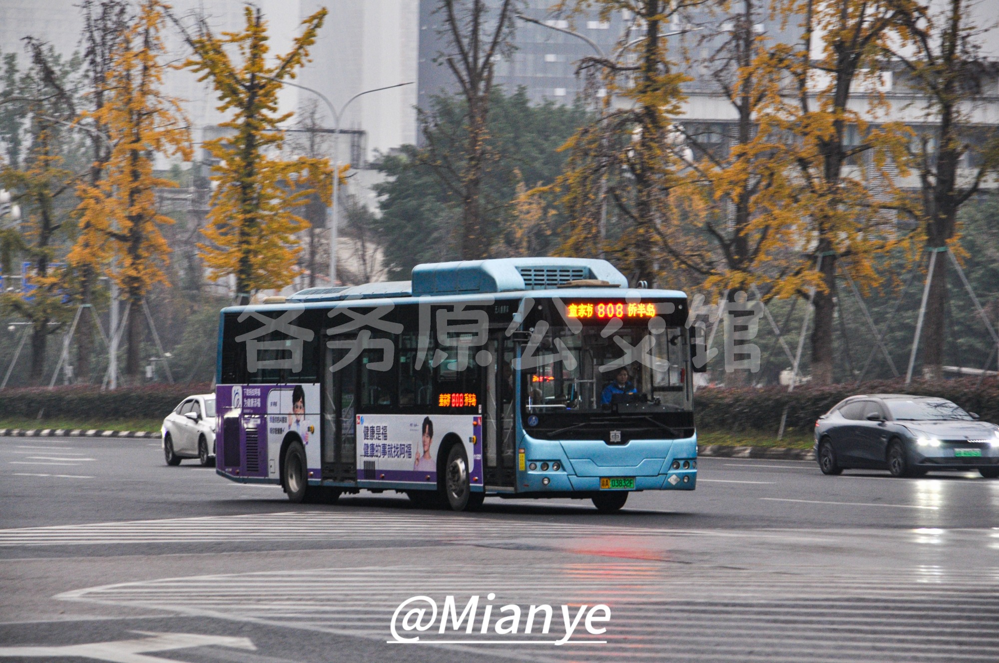 TEG6129EHEVN08图片