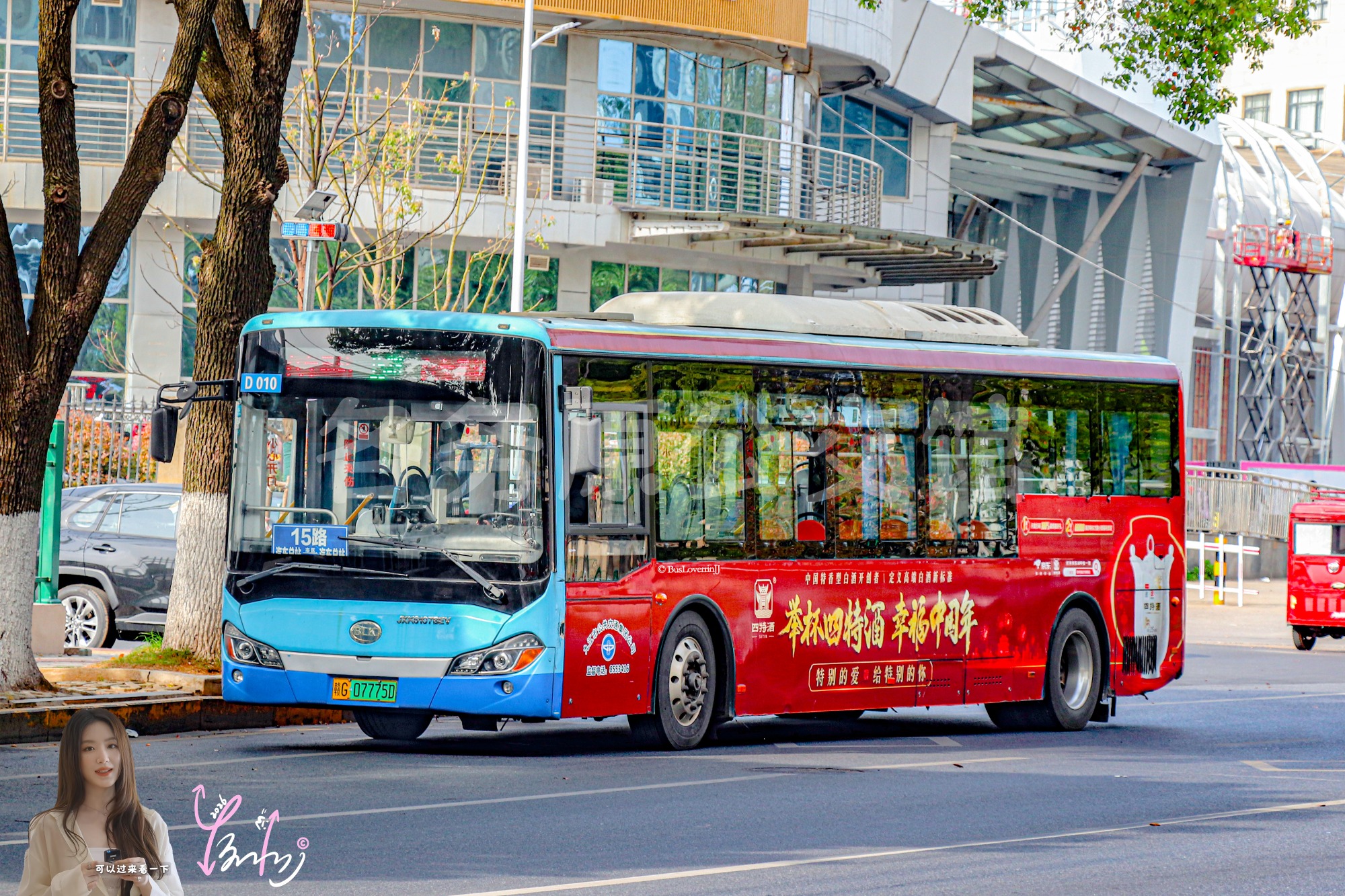 15路【D010】（四特中国年）