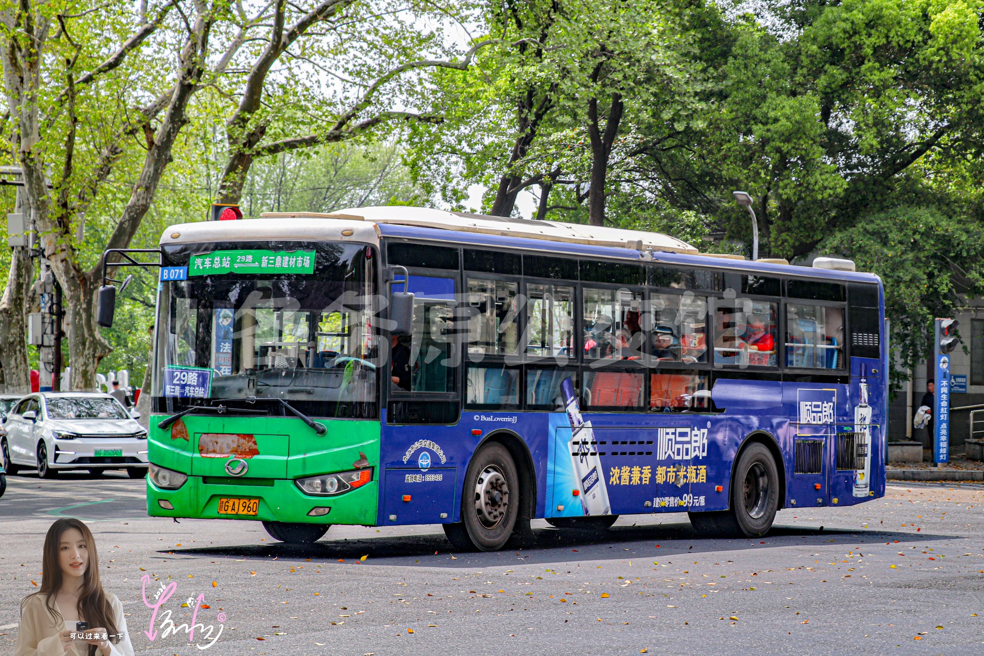 29路【B071】（顺品郎）