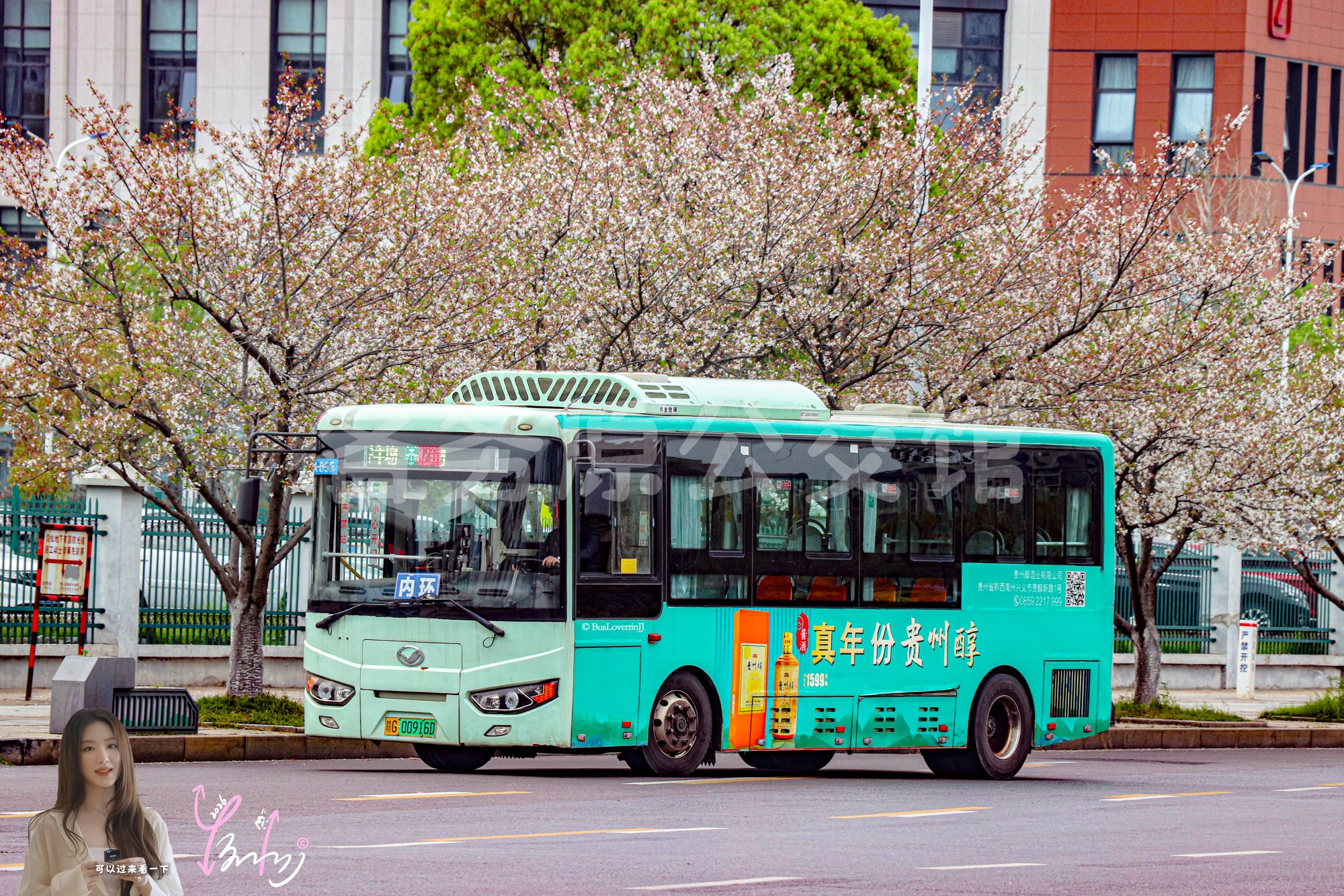 32路内环【A055】（贵州醇）