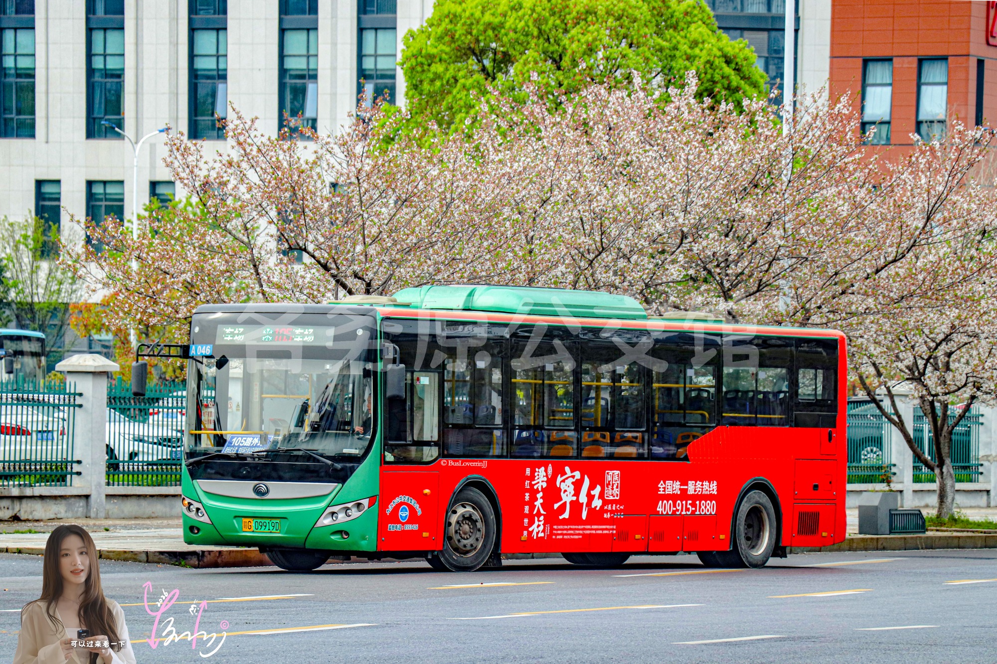 105路外环【A046】（梁天柱宁红茶）