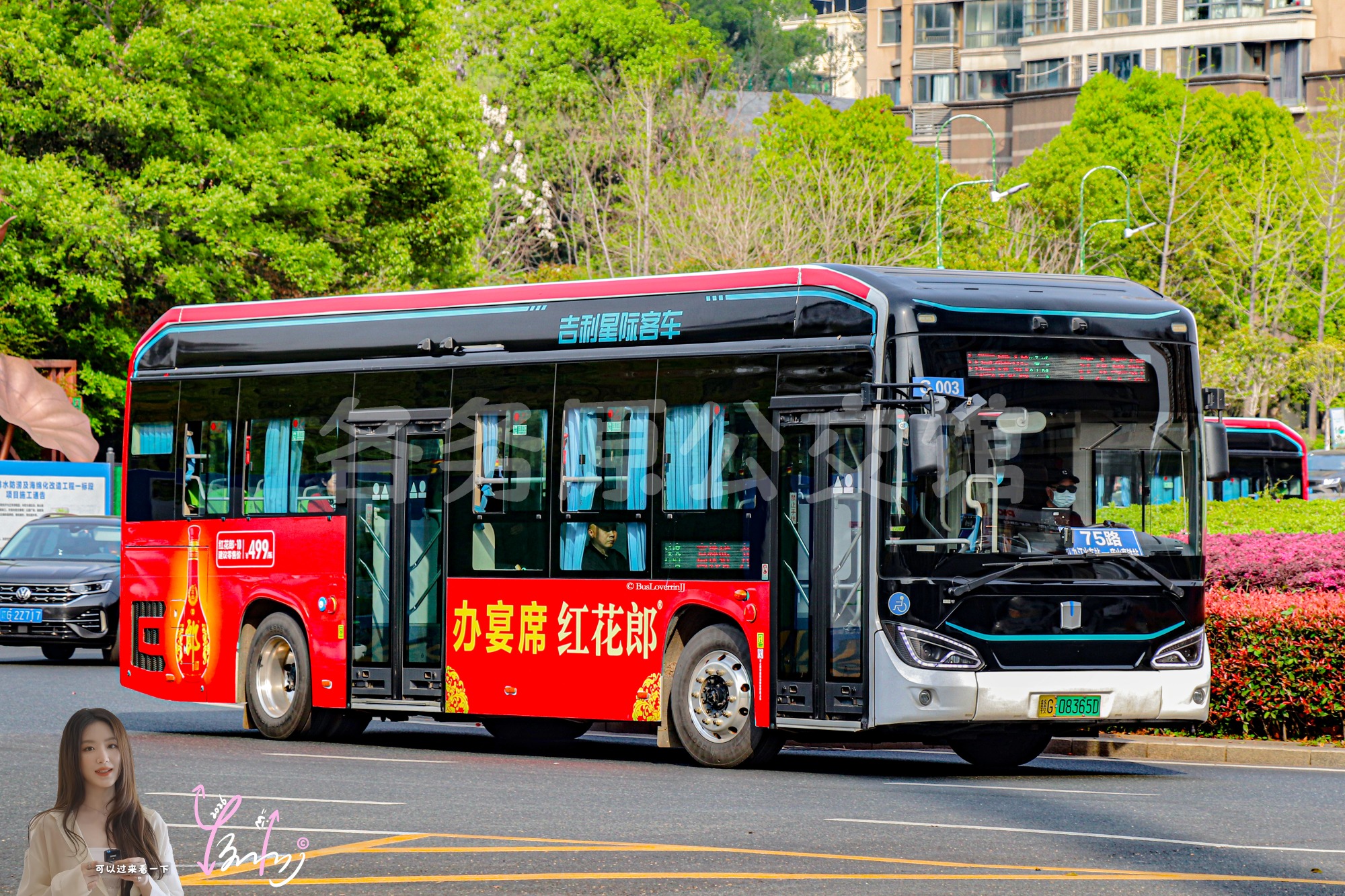 75路【G003】（红花郎）