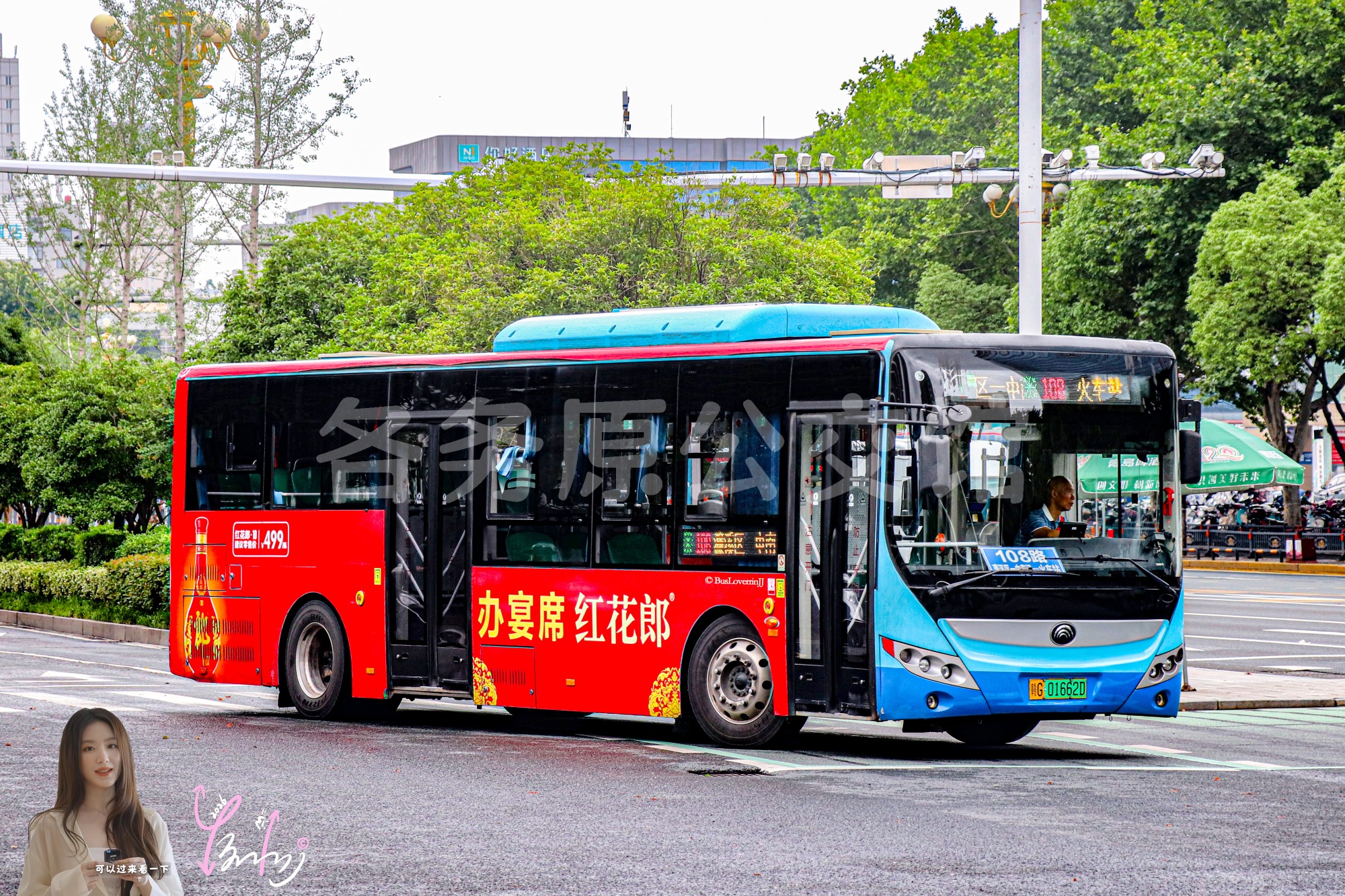 108路【D089】（红花郎）