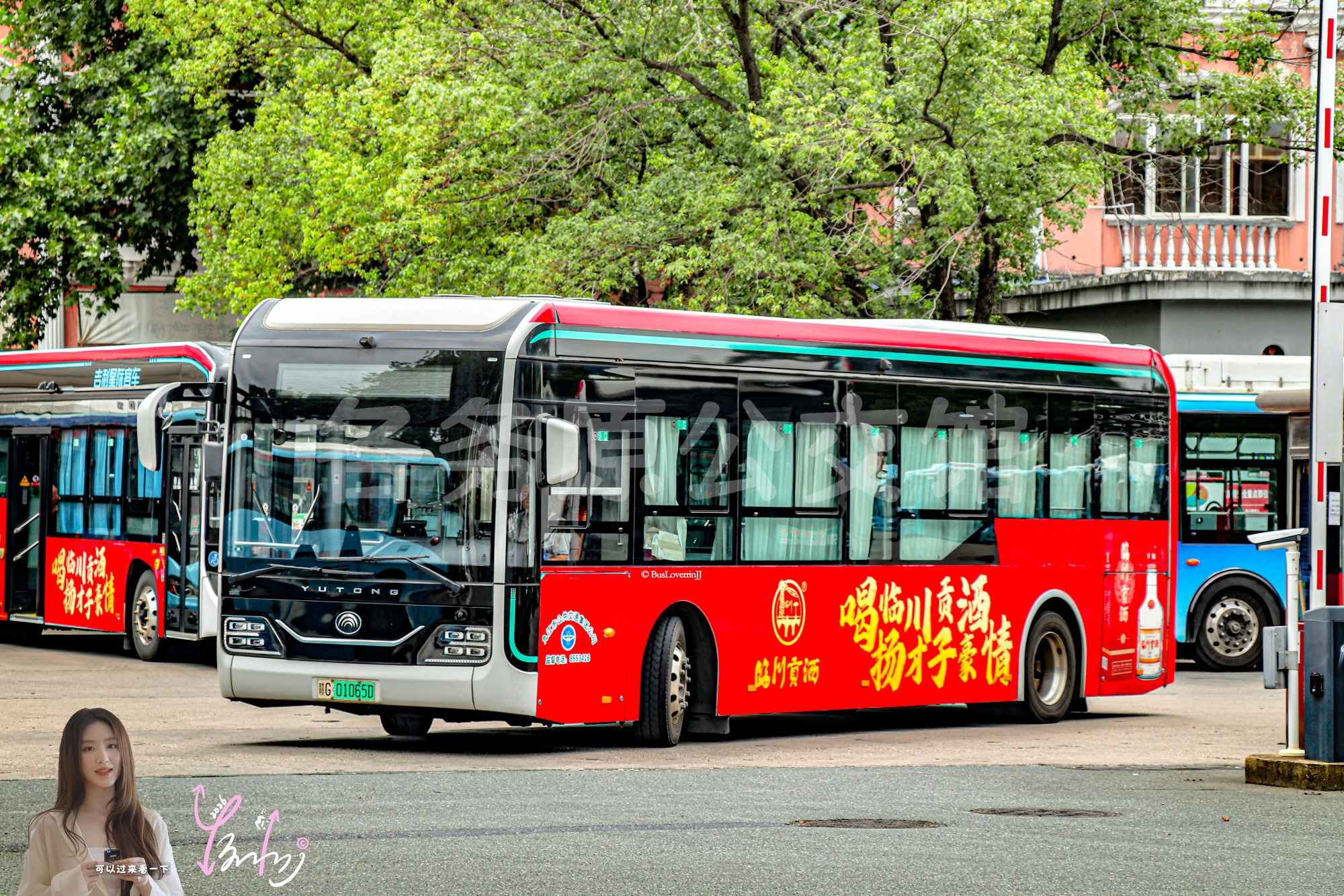 5路【B003】（临川贡酒）