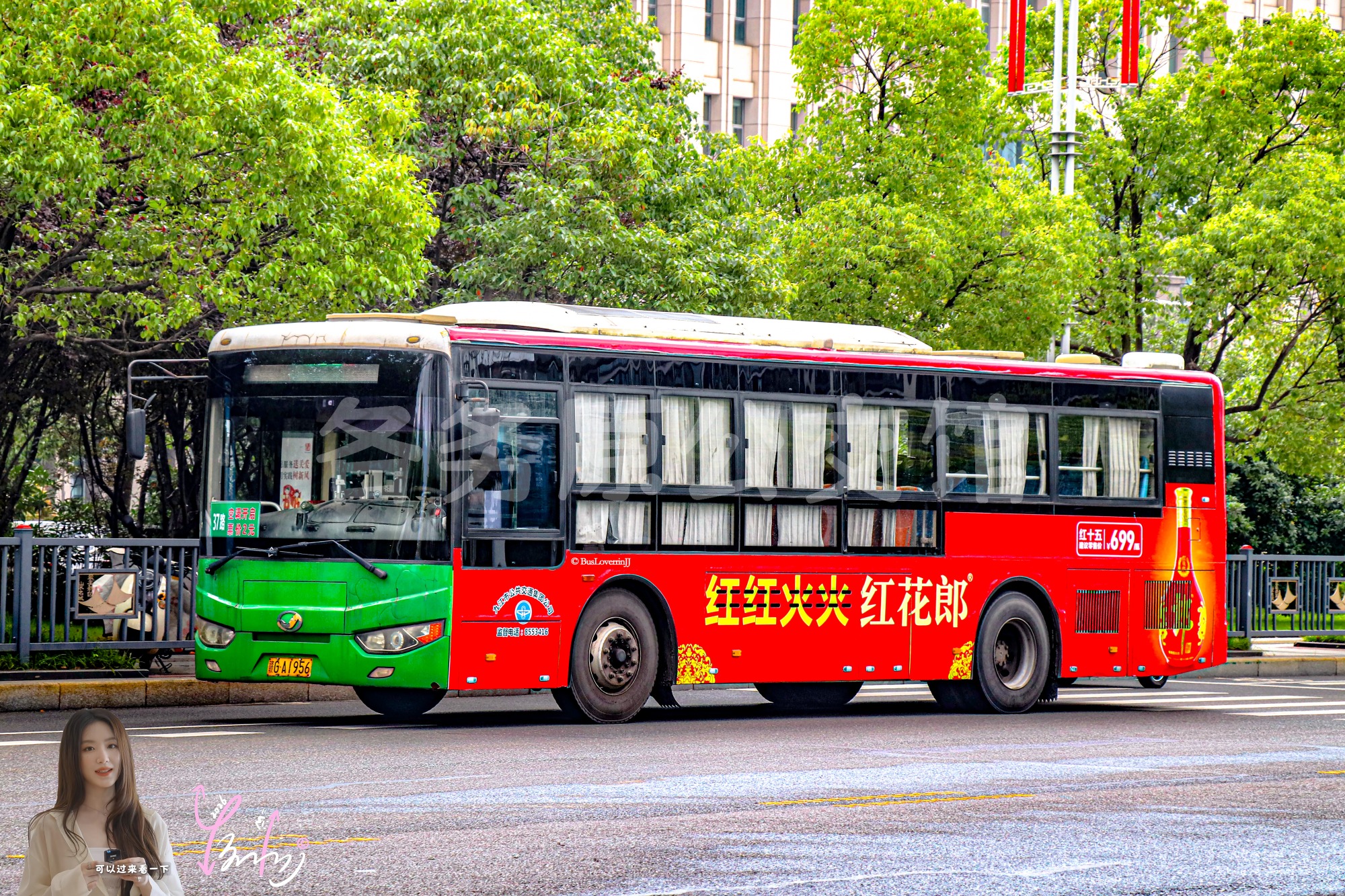 37路【E114】（红花郎）