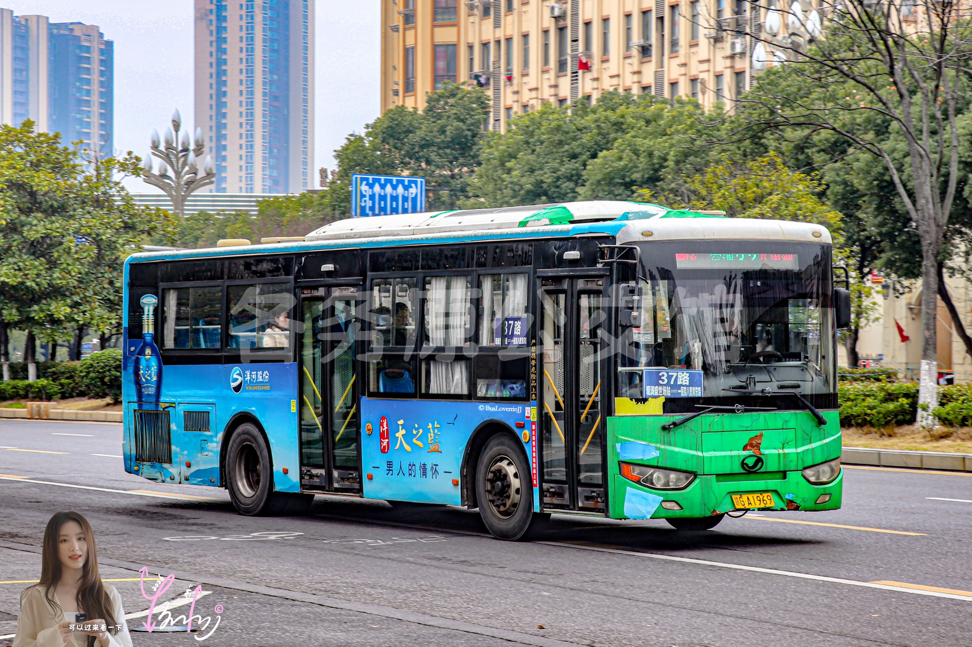 37路【E115】（天之蓝）