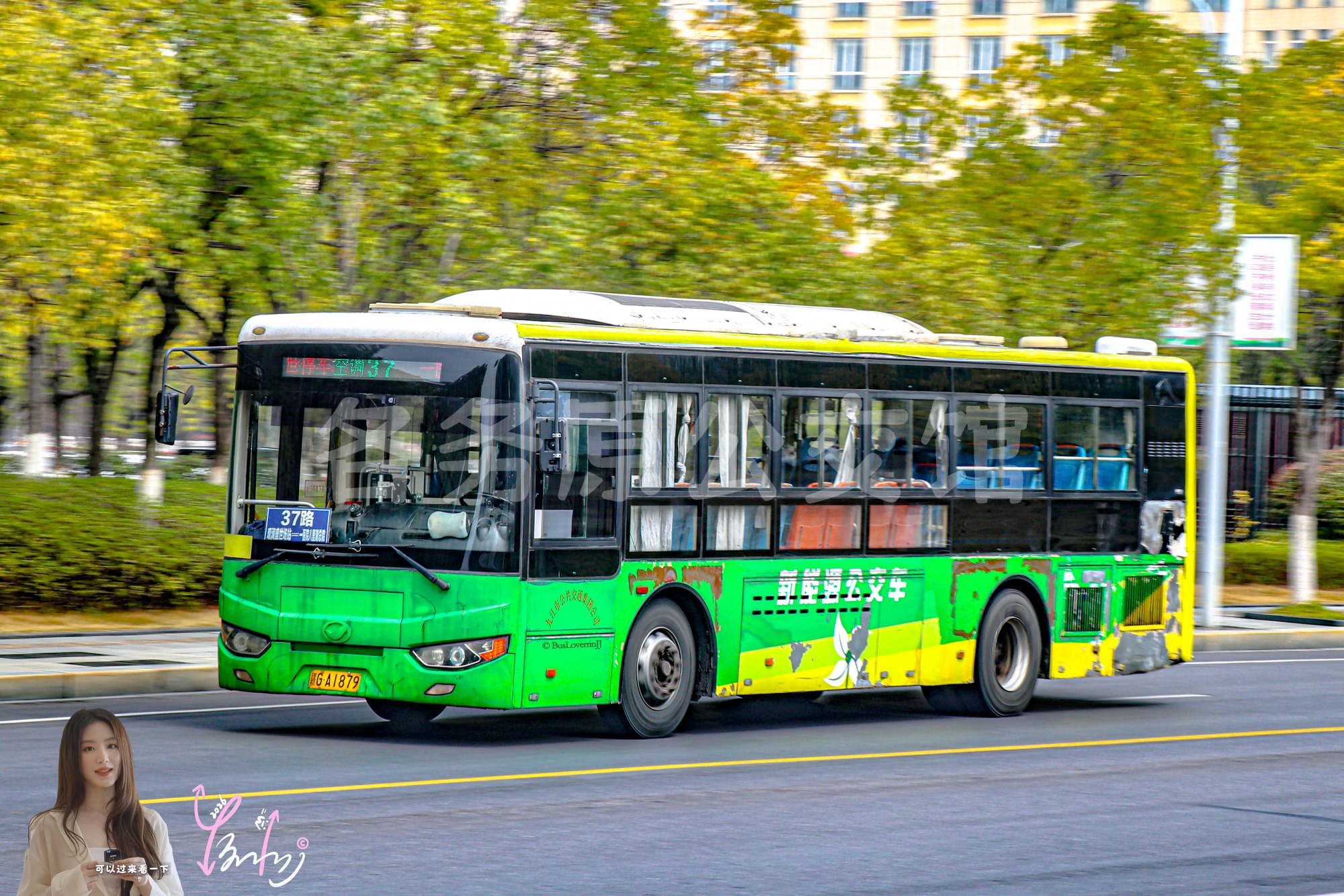 37路【E110】（原色）