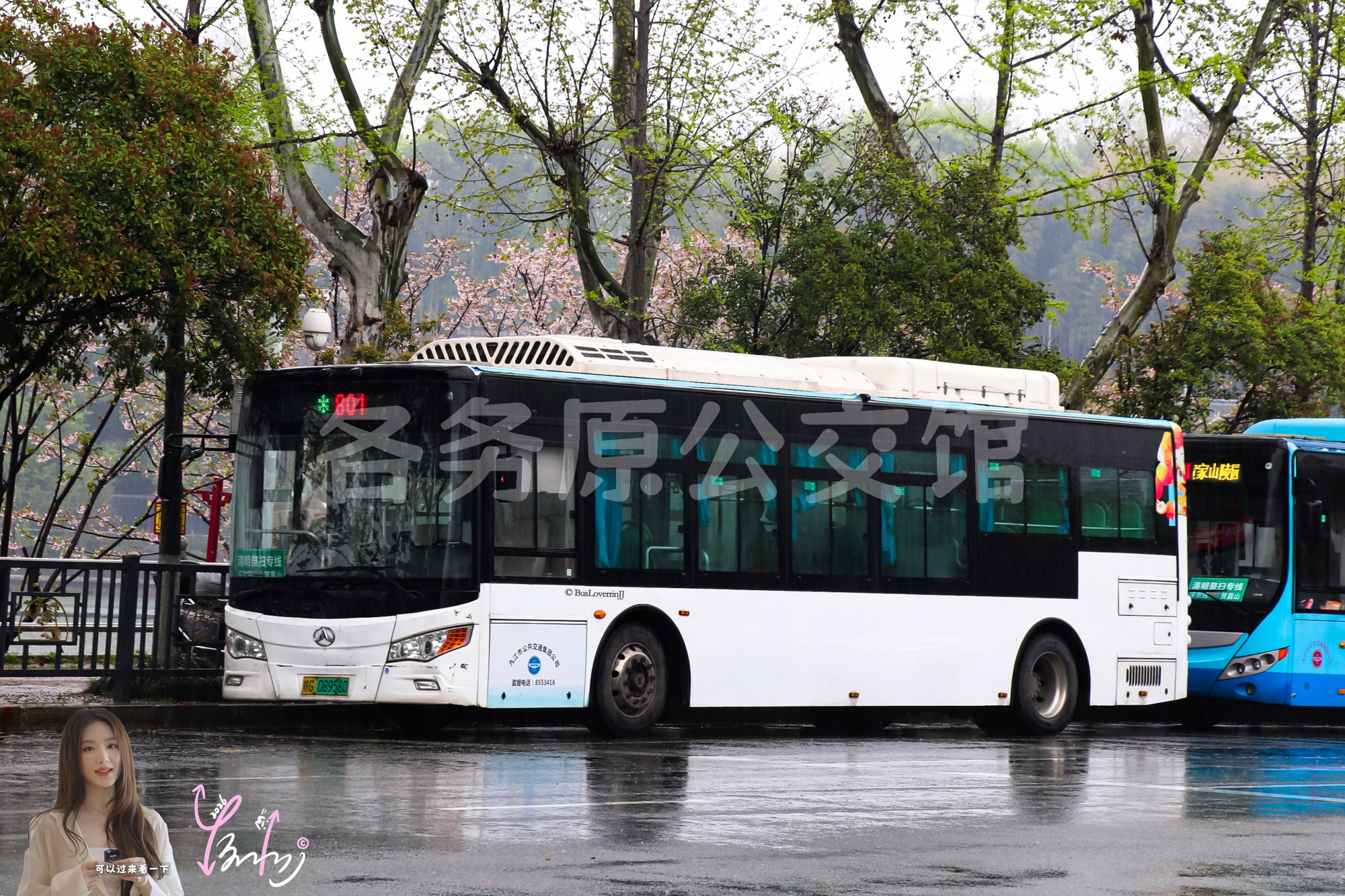 801路|扫墓专线1 机动【D050 原102/104路】（原色）