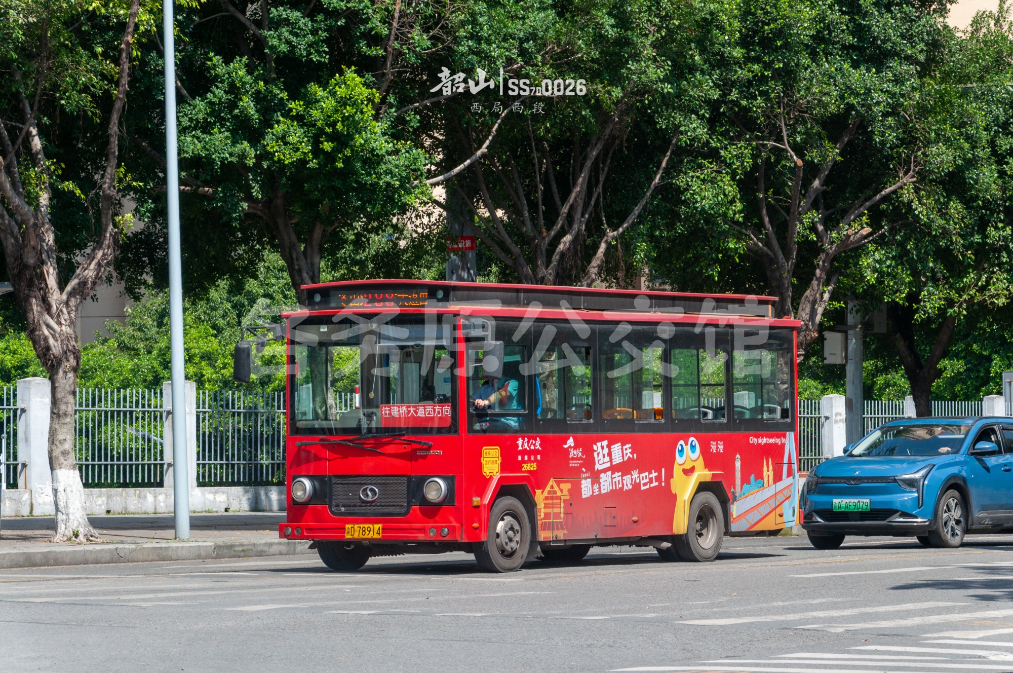未命名图片