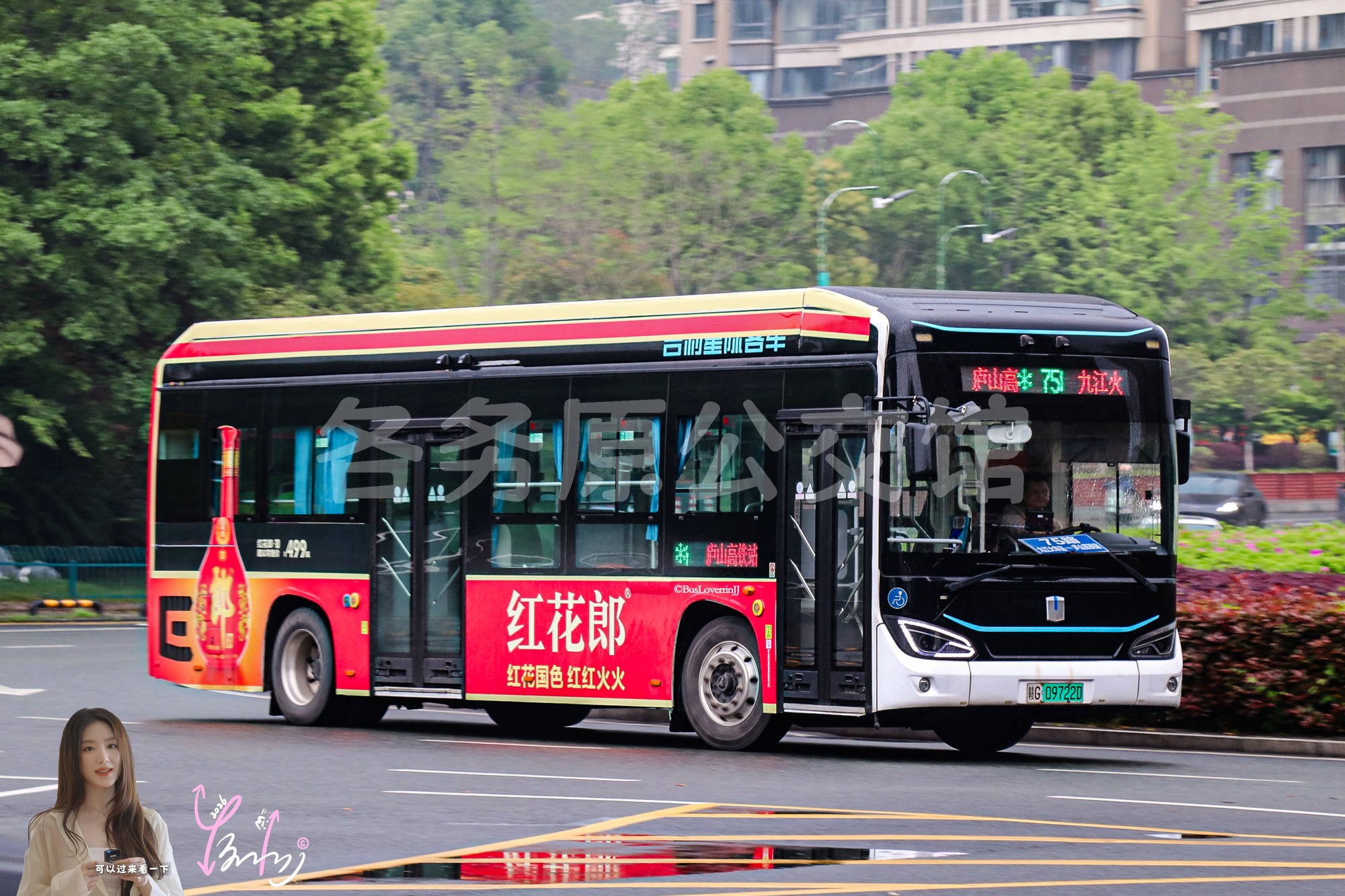 75路【G013】（红花郎）