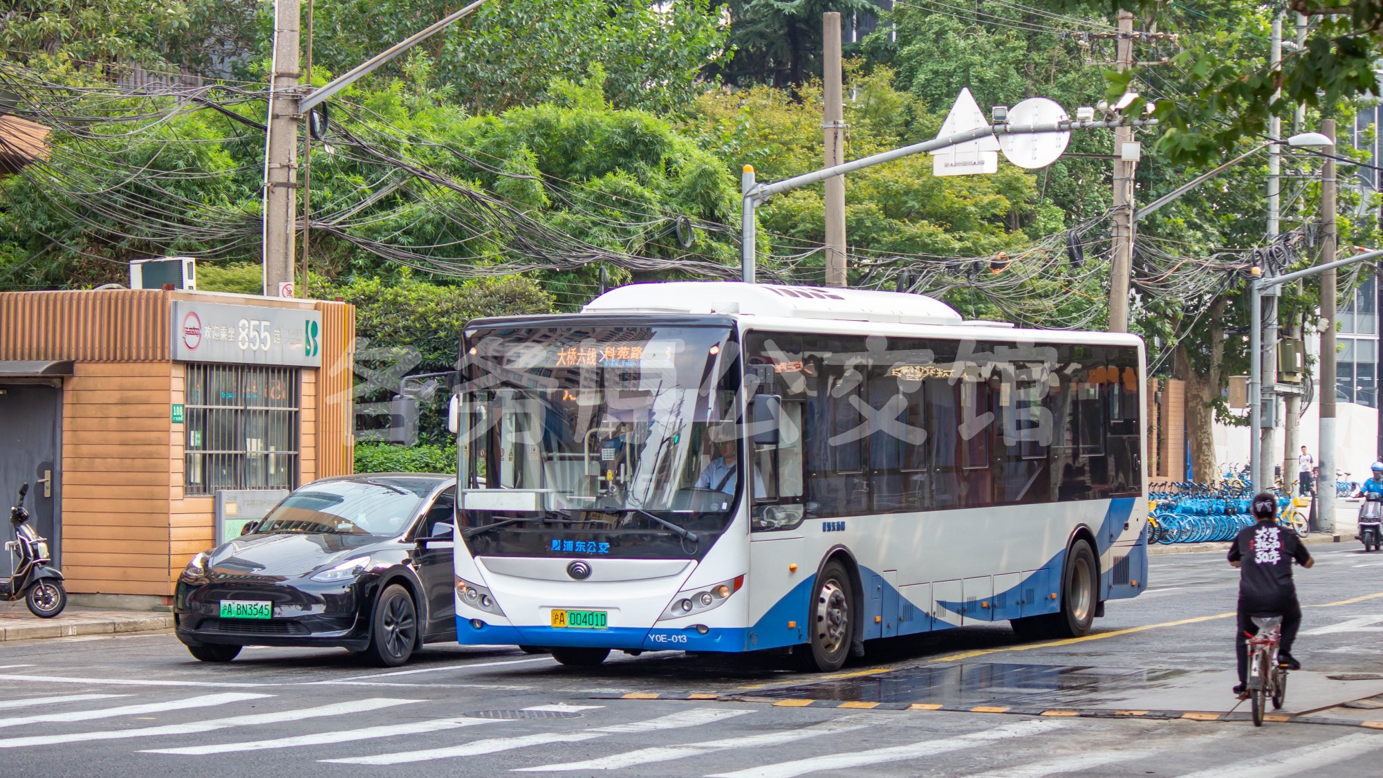 ZK6105BEVG29图片