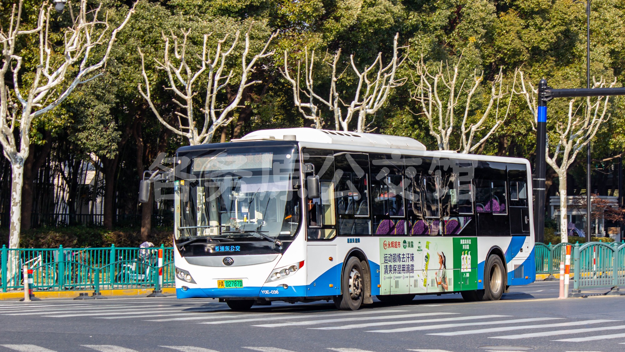 ZK6105BEVG29图片