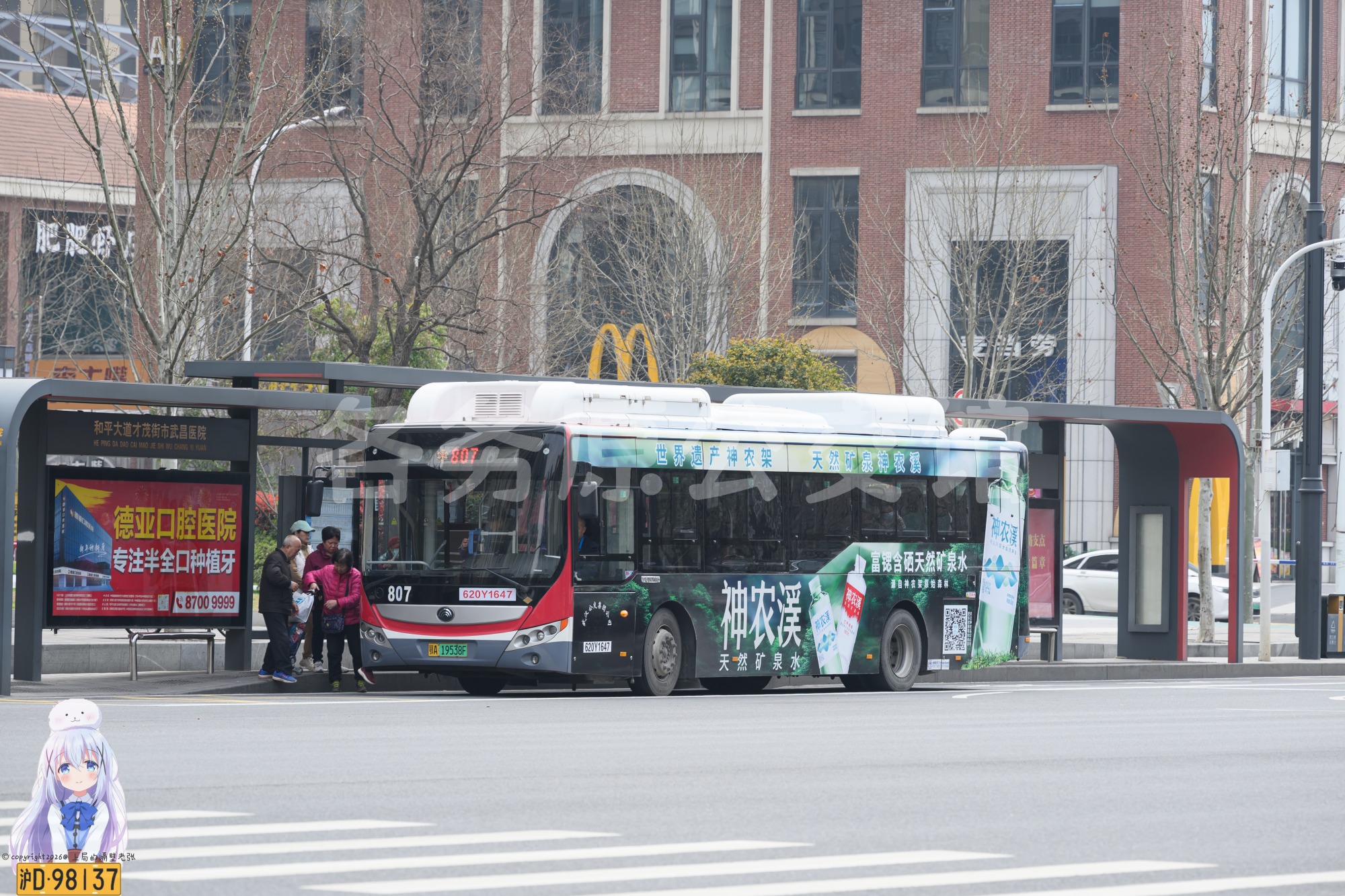 ZK6105CHEVNPG39图片