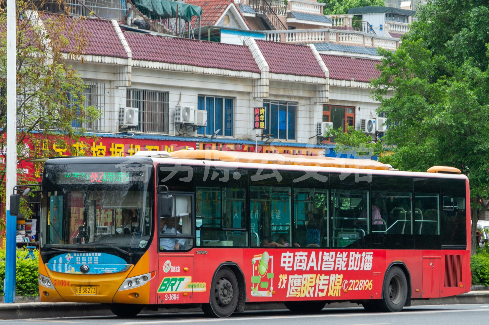 热门图片