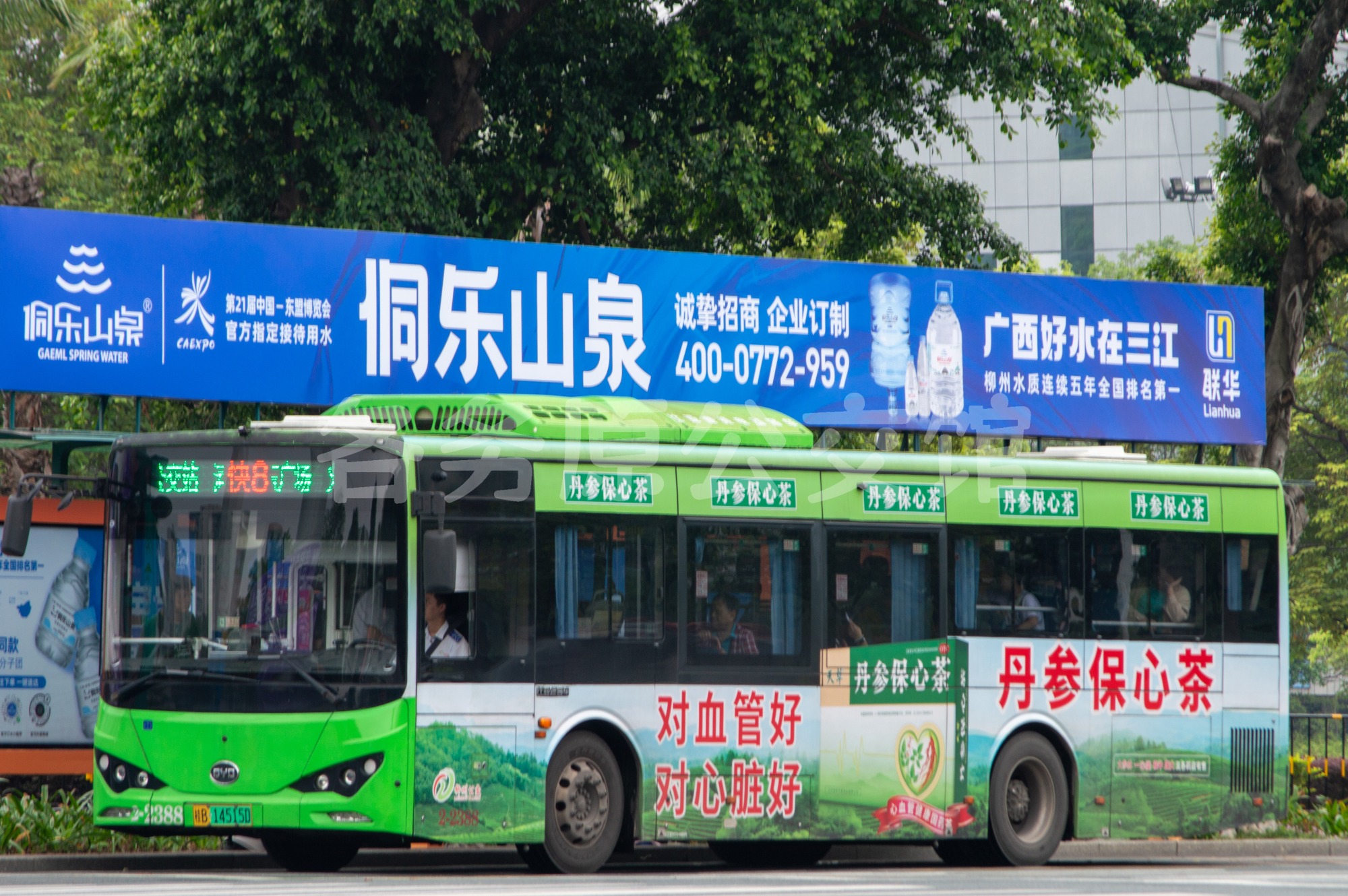热门图片