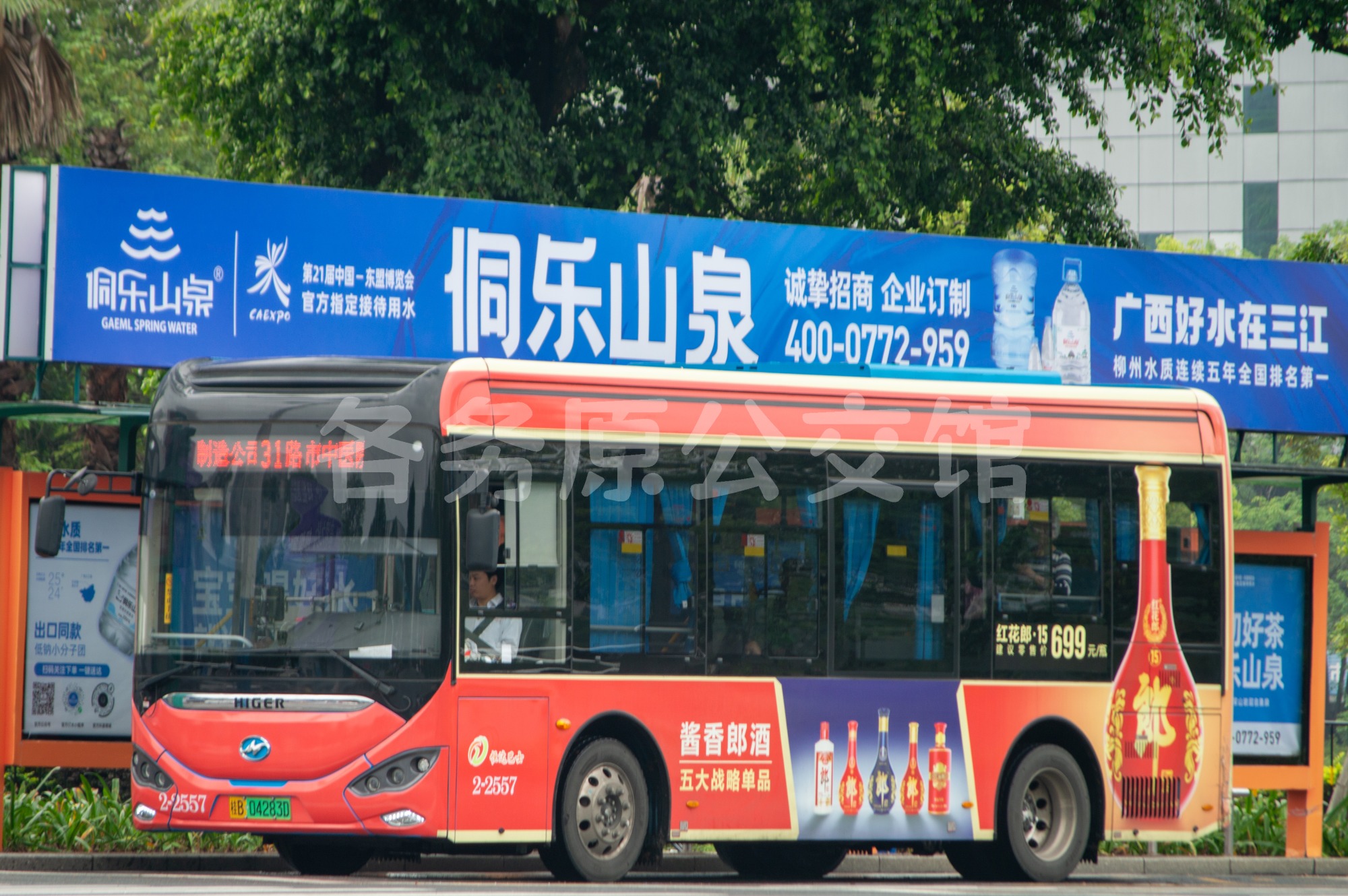 热门图片