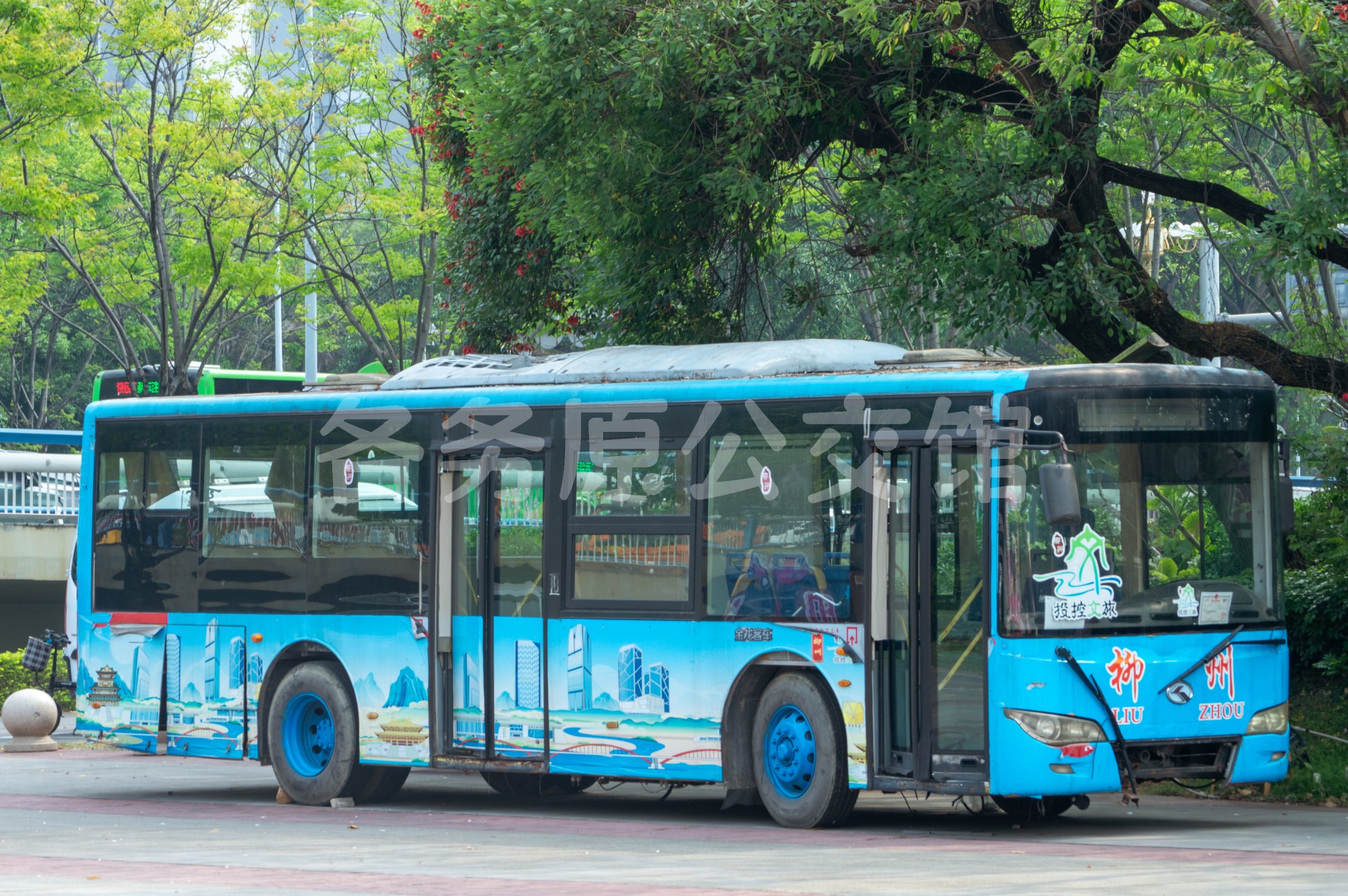 热门图片