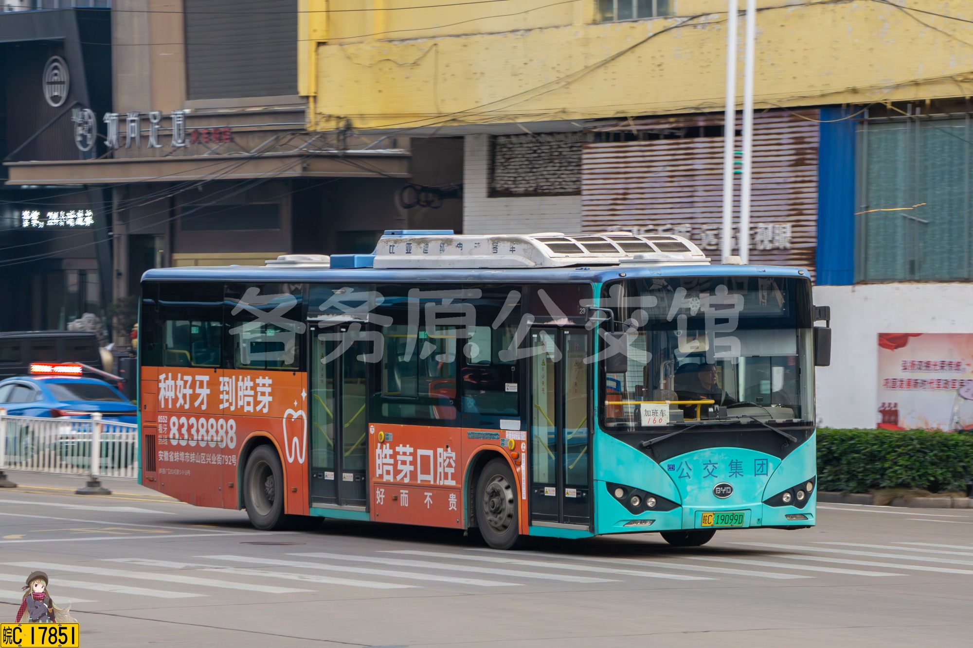 蚌埠公交 - BYD6100LGEV3