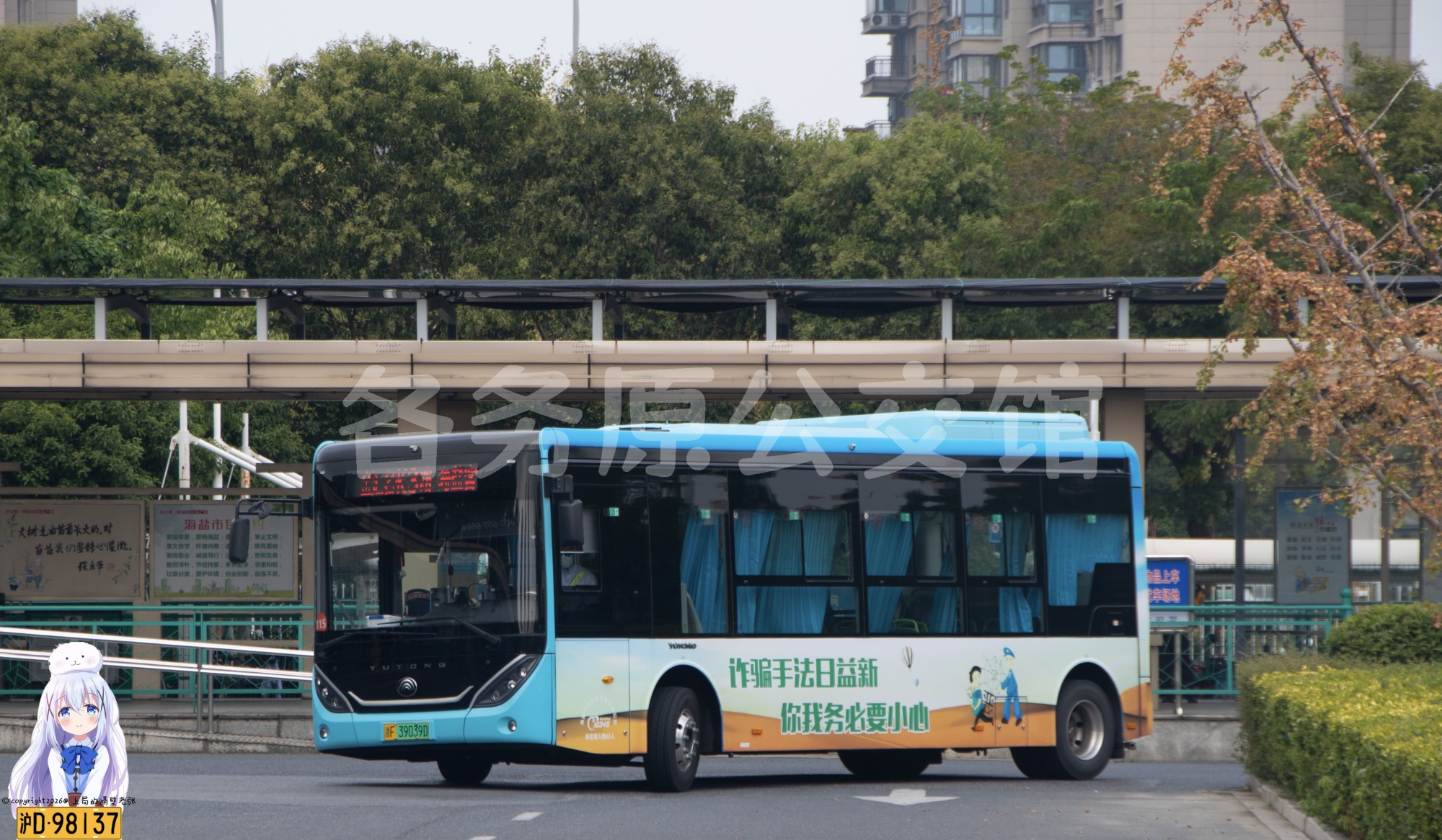 ZK6856BEVG14E图片