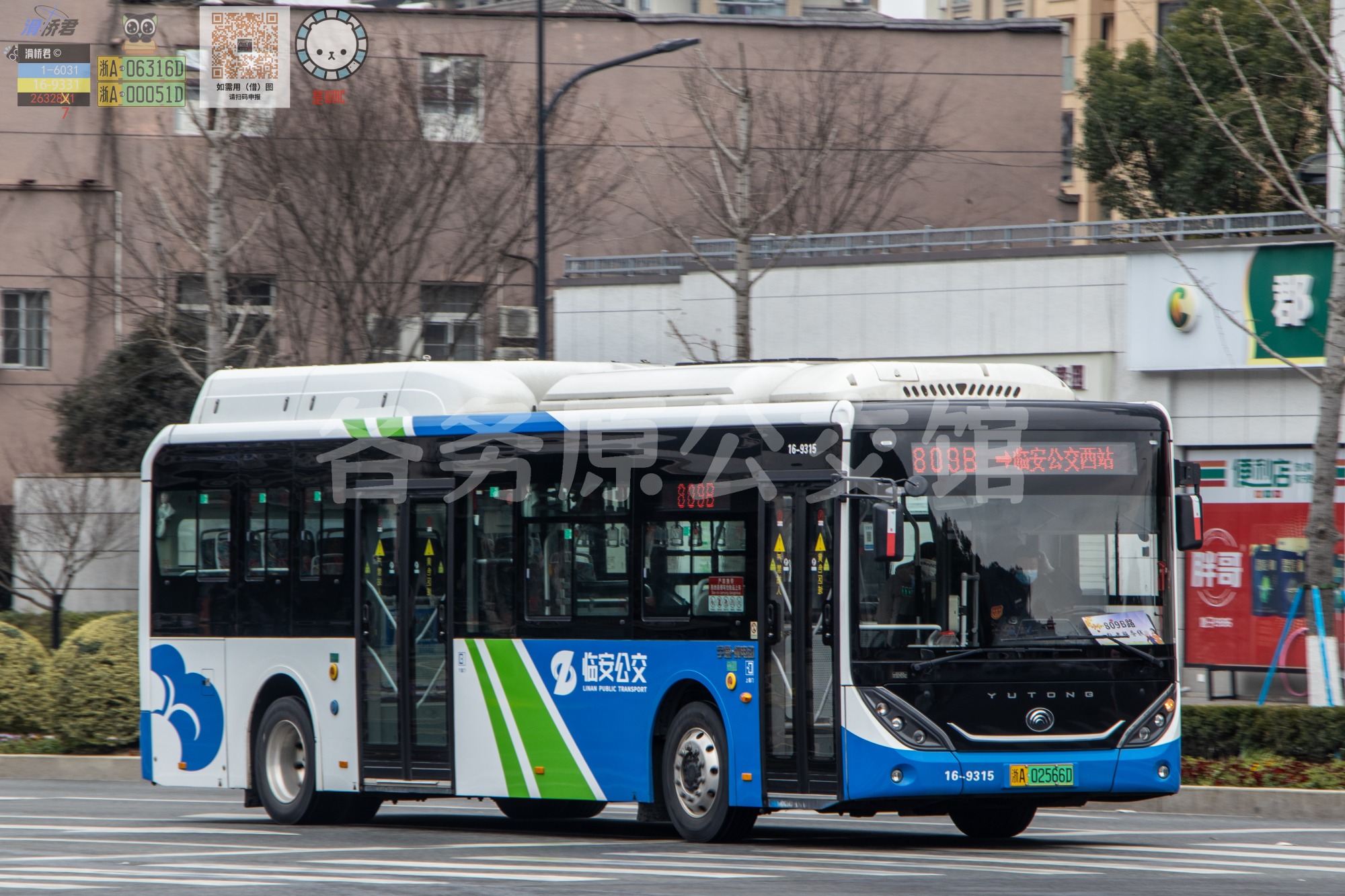 临安公交 - ZK6106BEVG9E