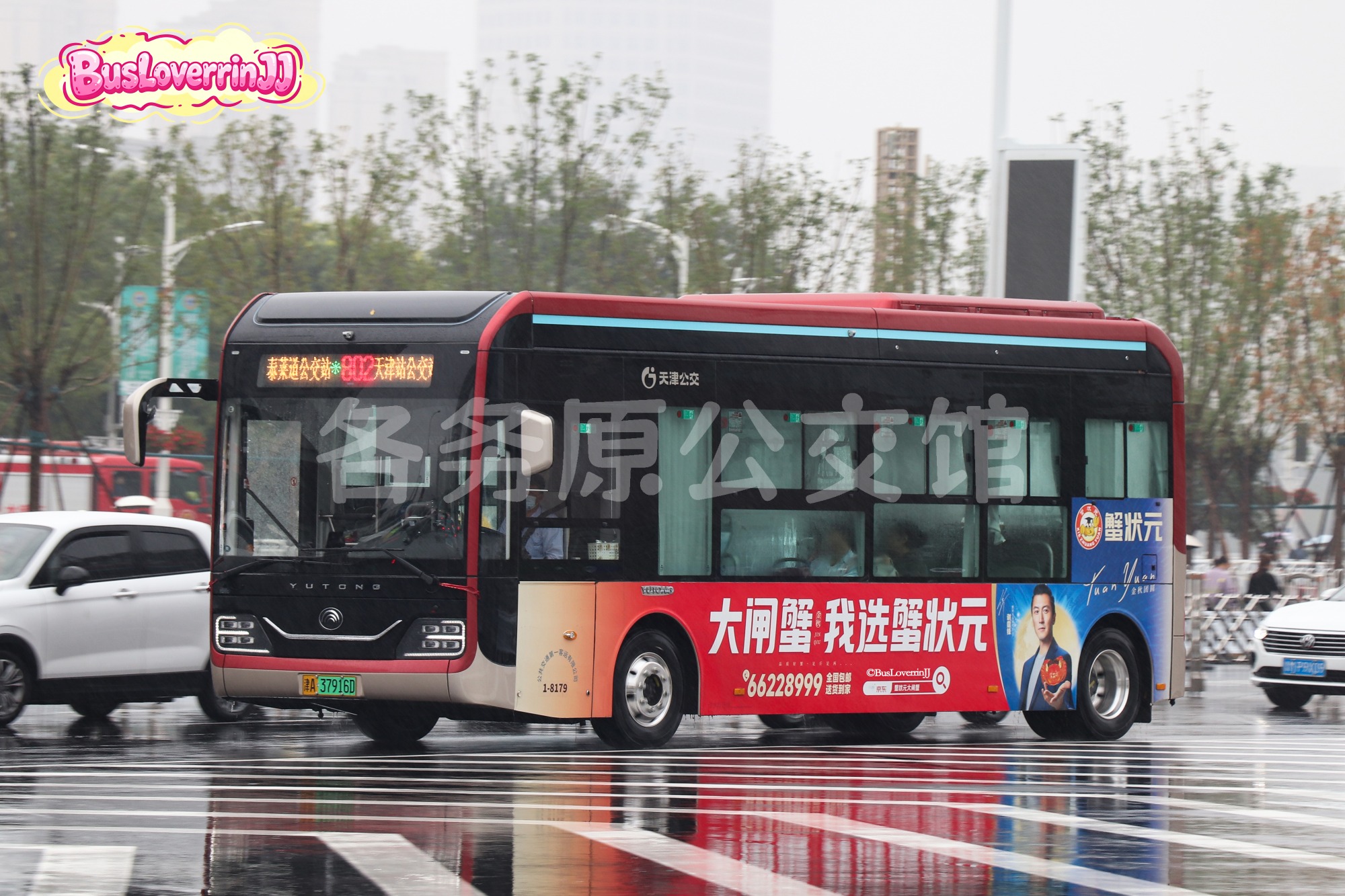 802路【1-8179】（蟹状元）
