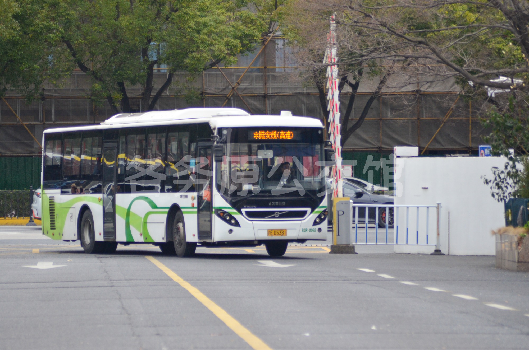 热门图片