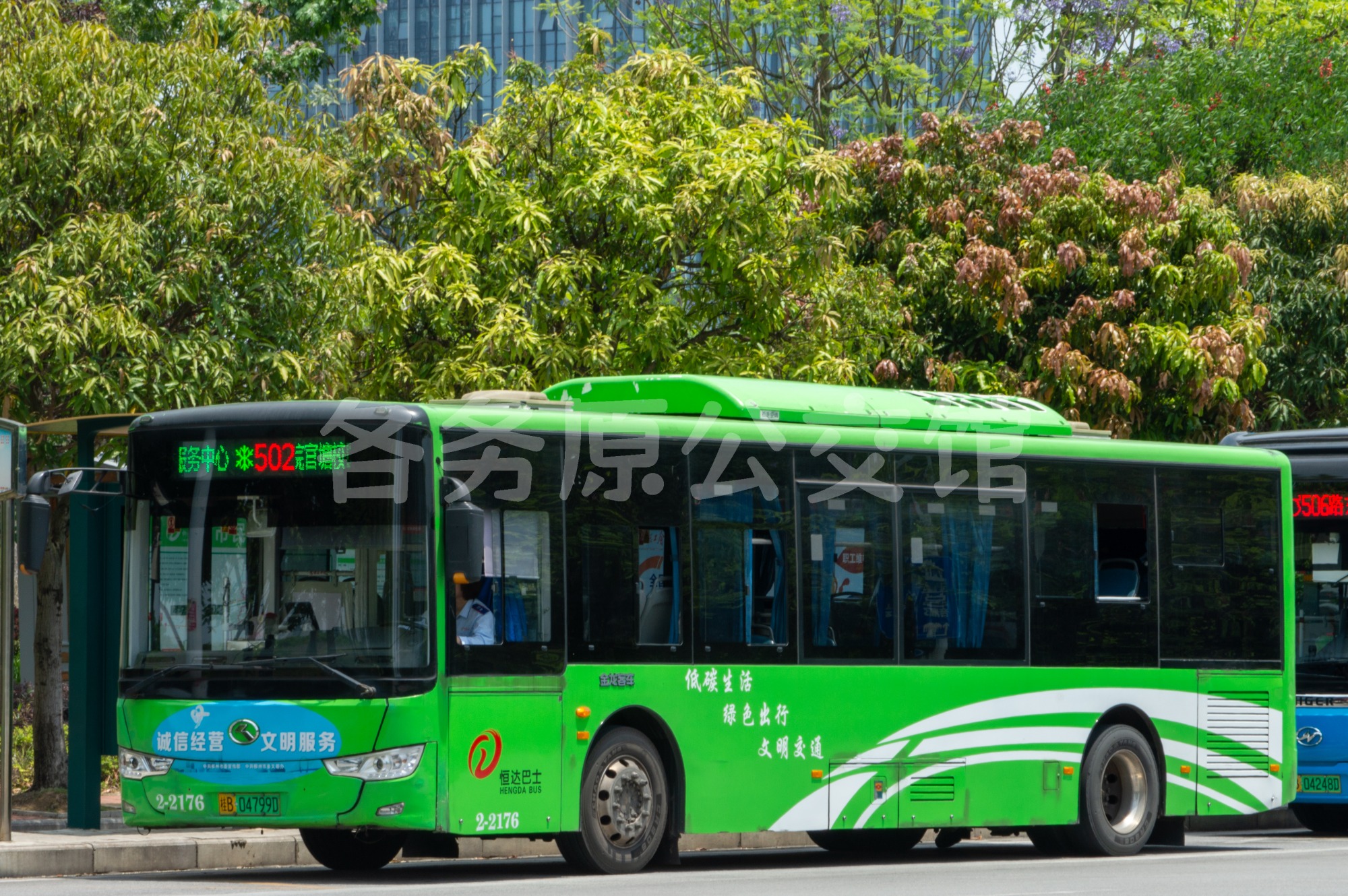 热门图片