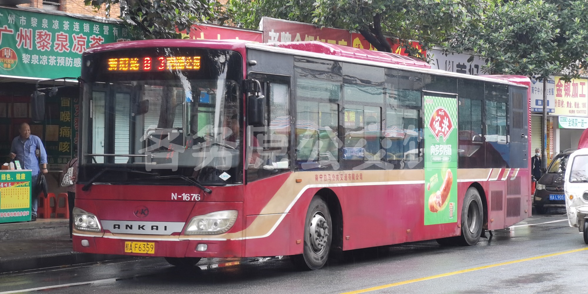 热门图片