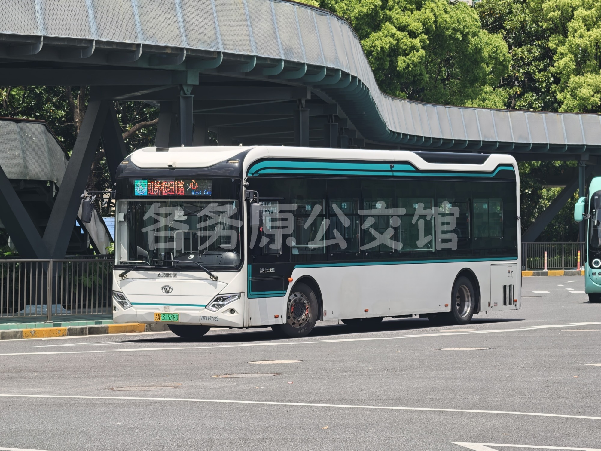 热门图片