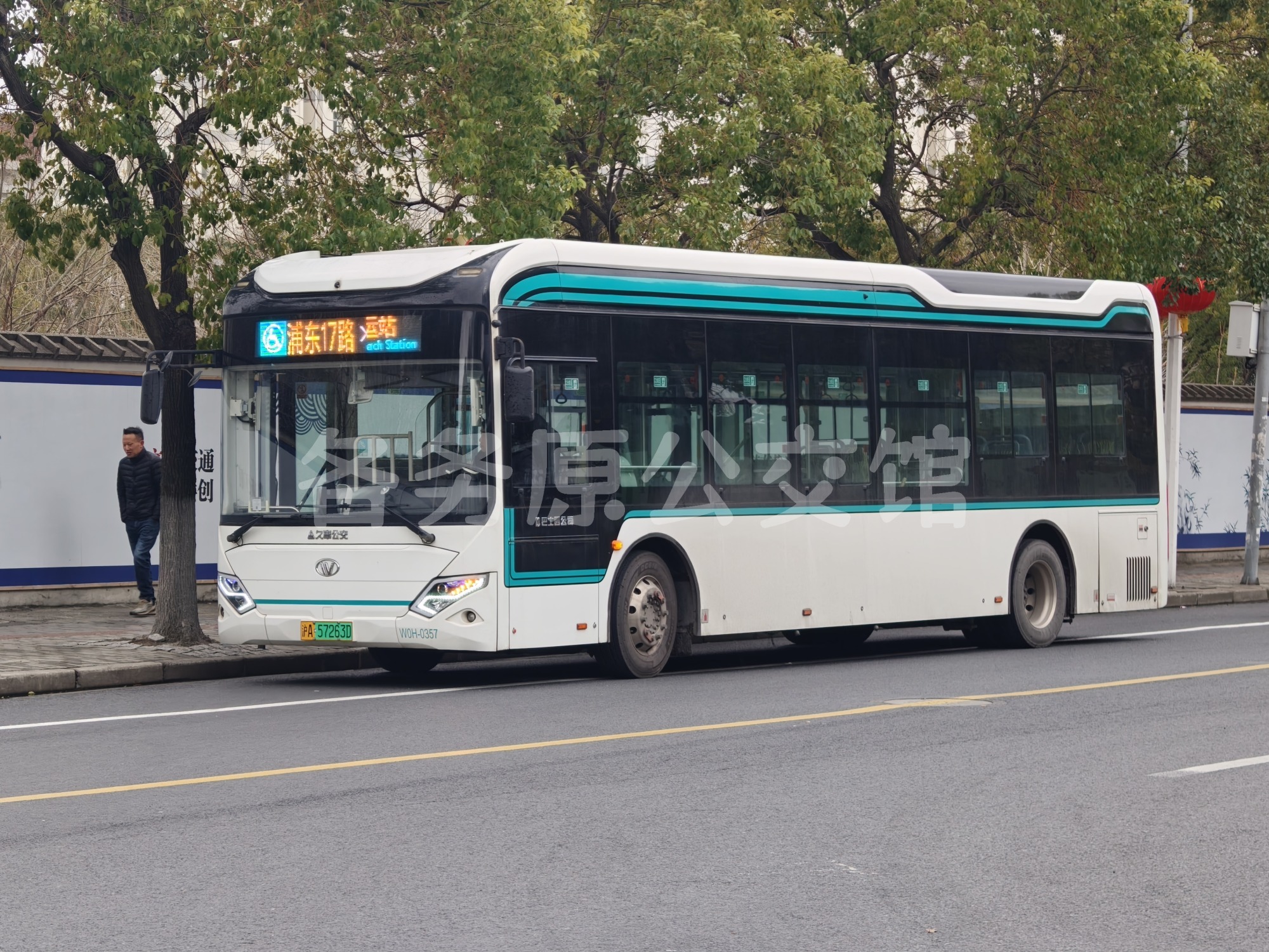 热门图片