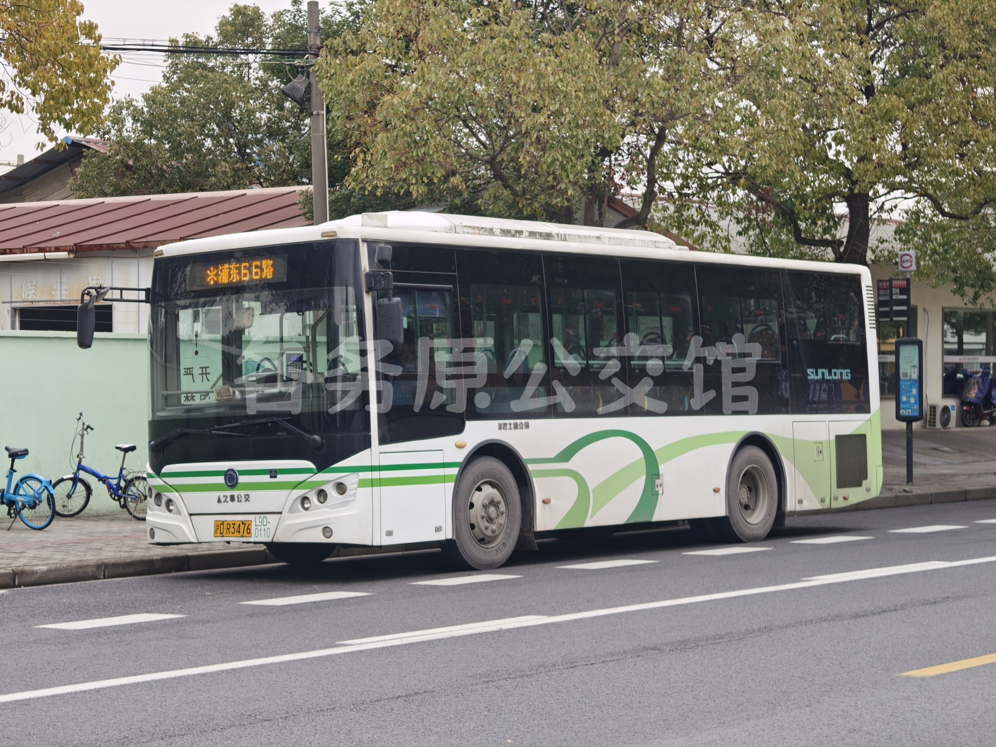 热门图片