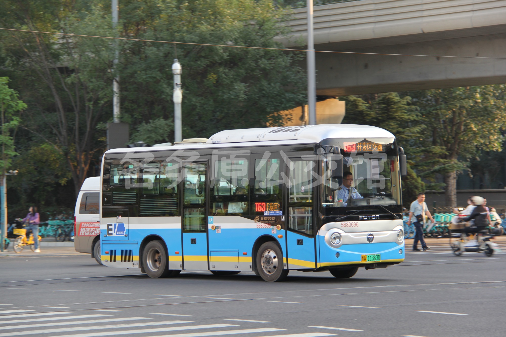 热门图片