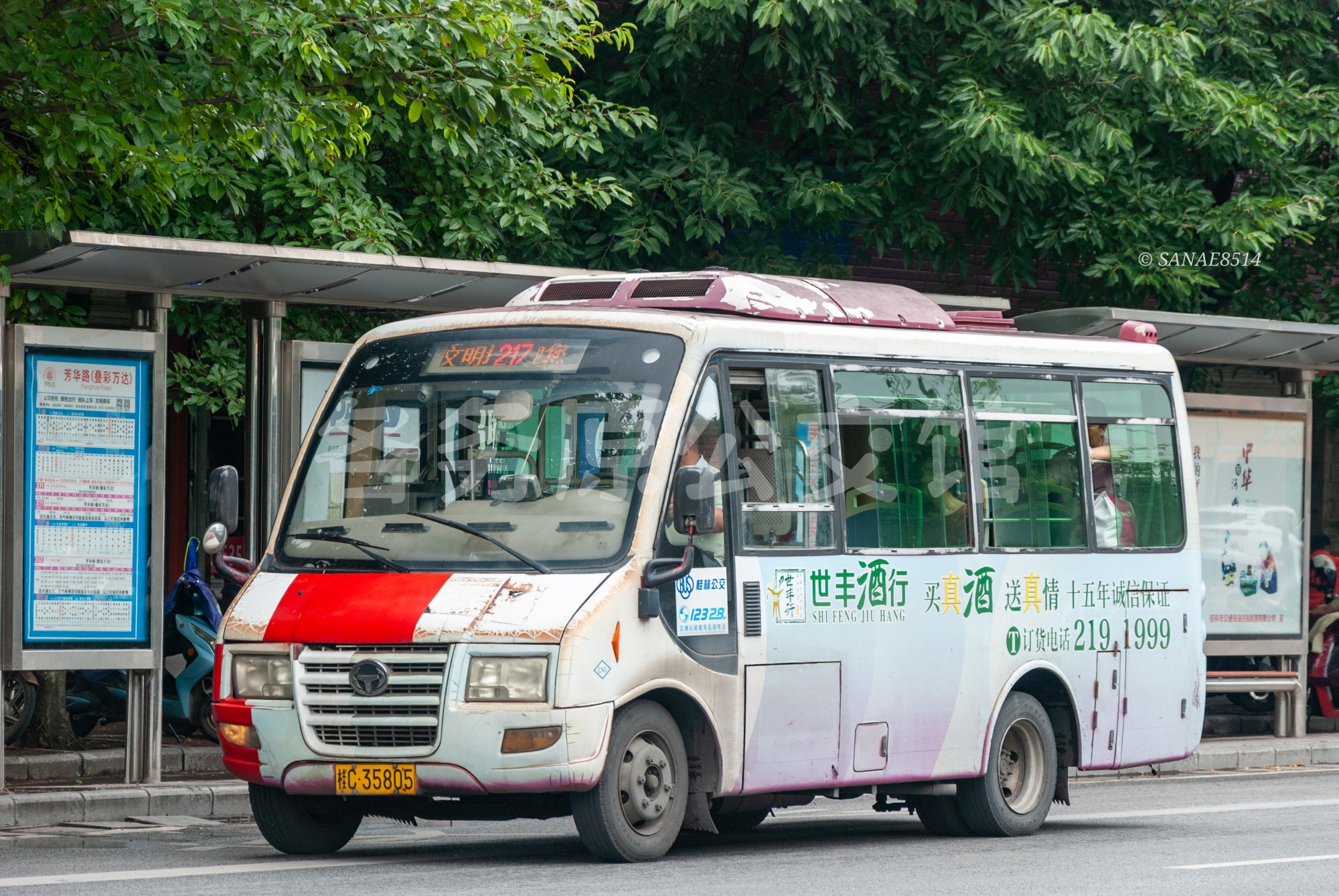 热门图片