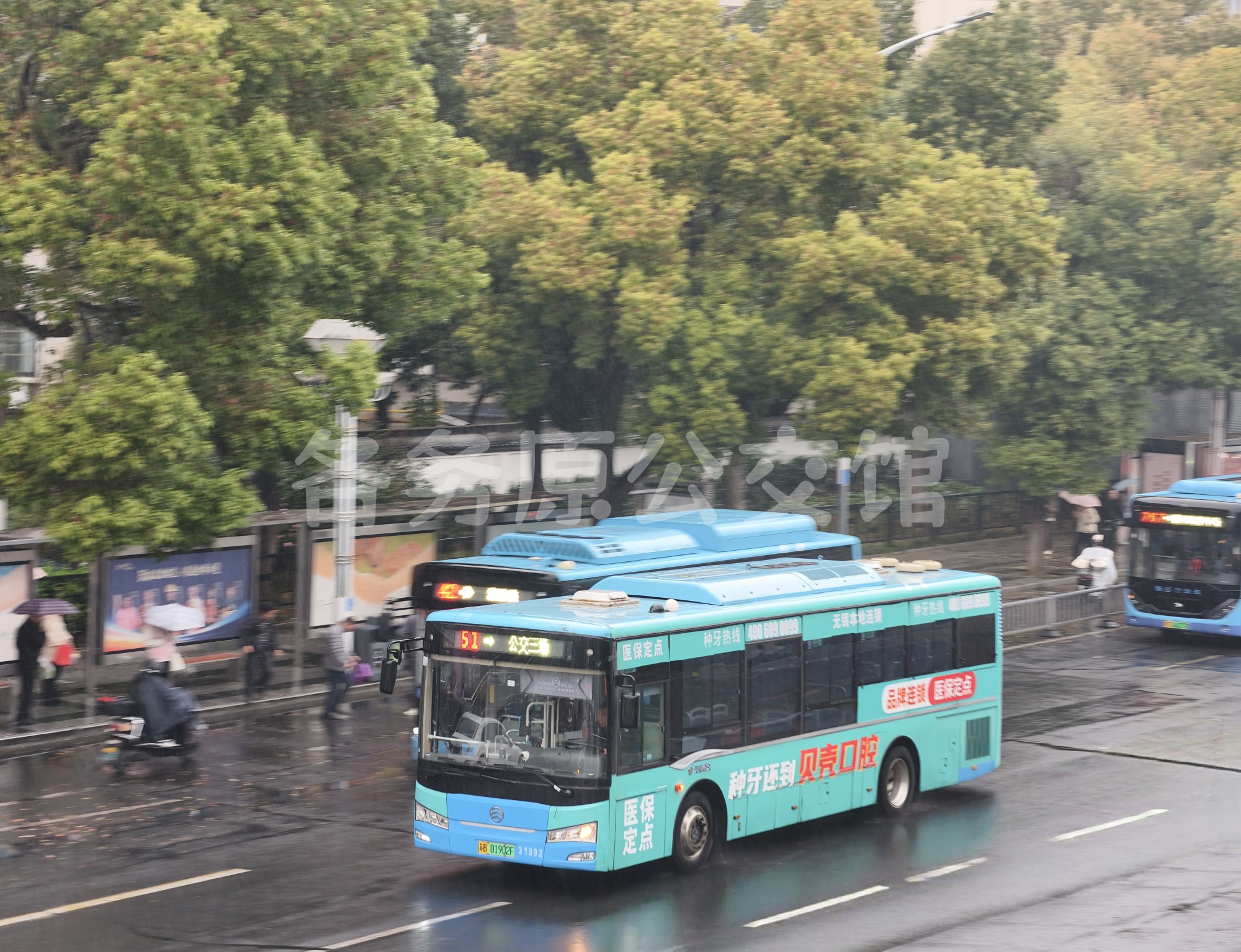 热门图片