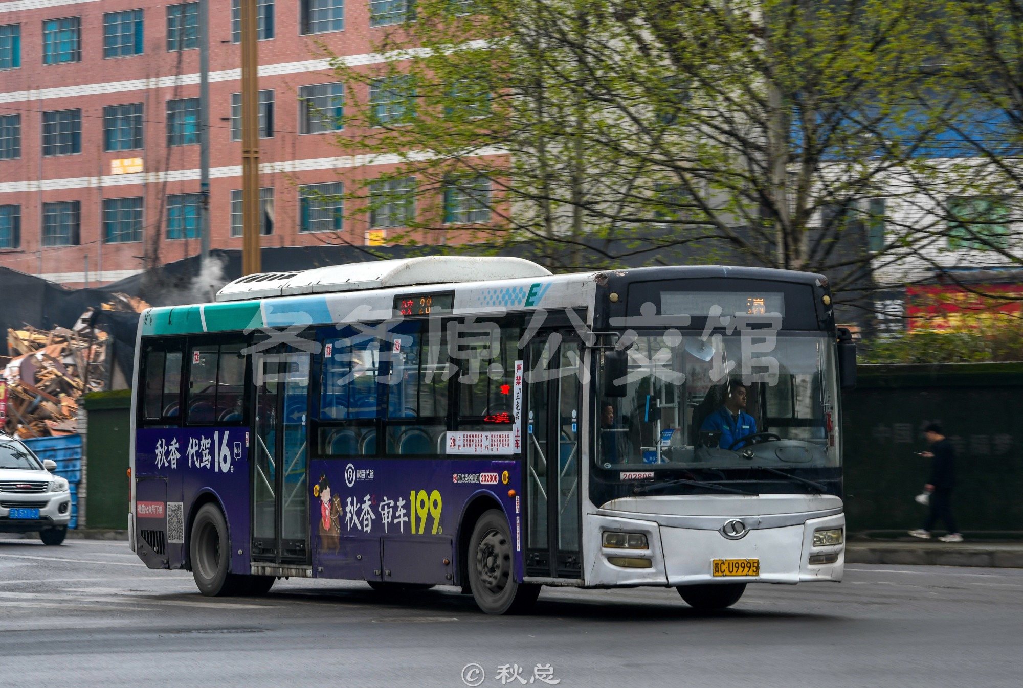 CDK6103CBEV图片