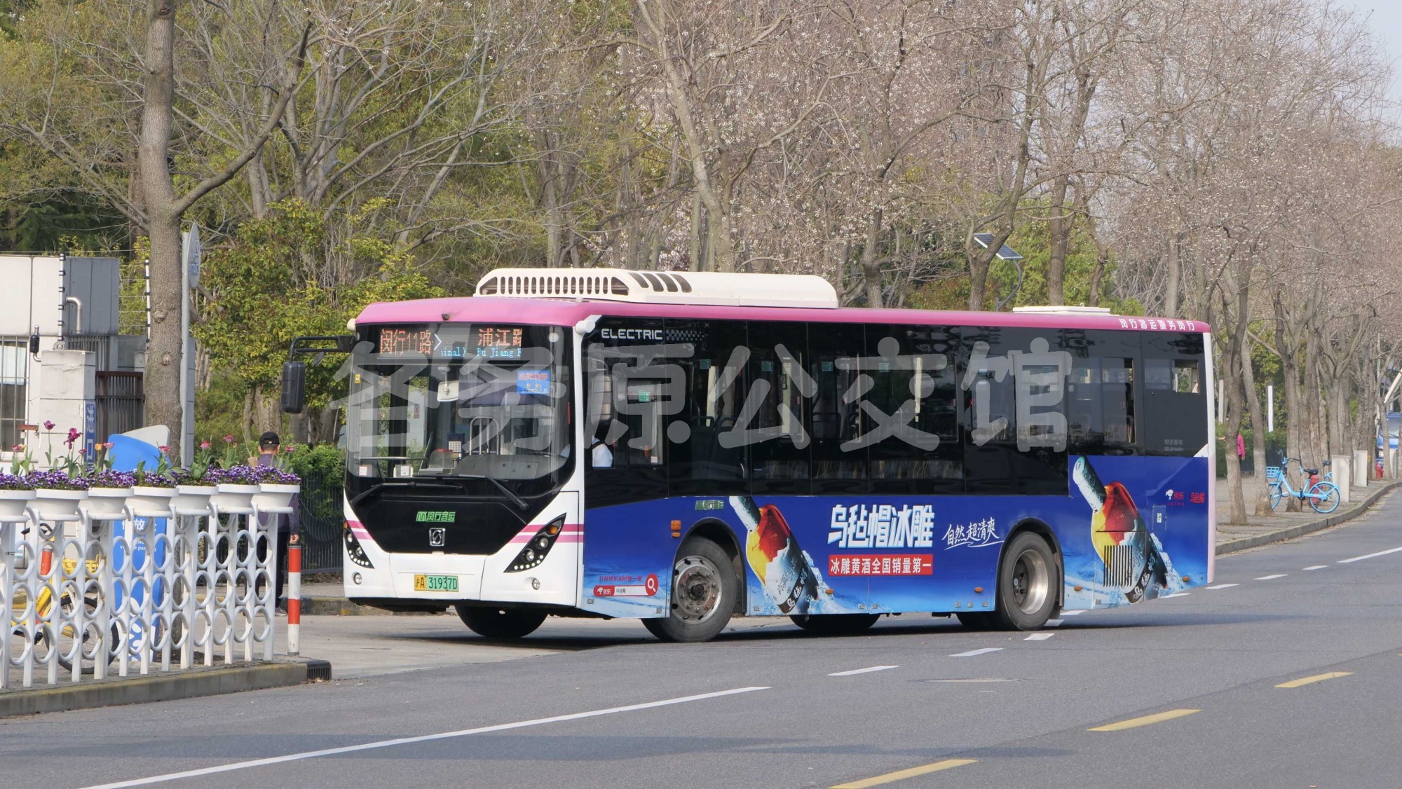 未命名图片