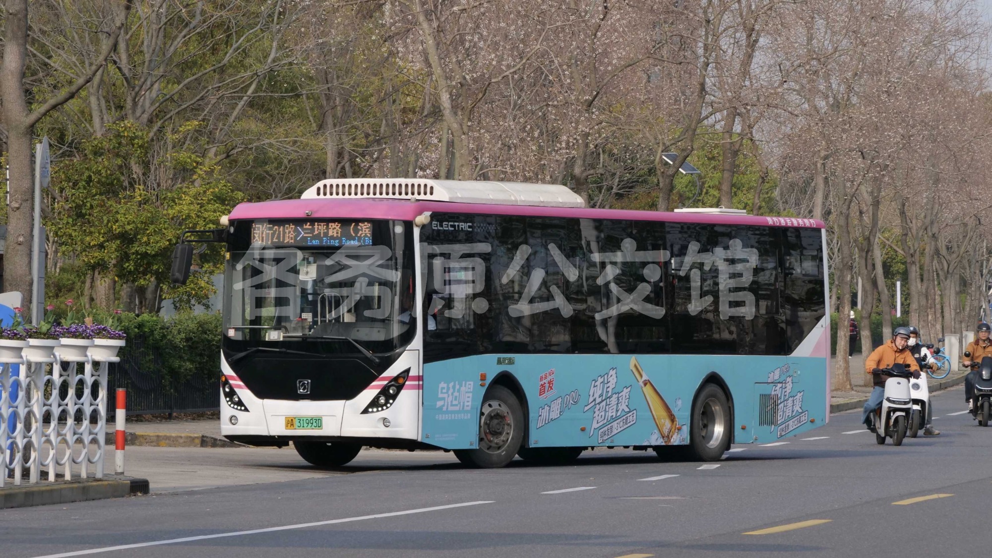 未命名图片