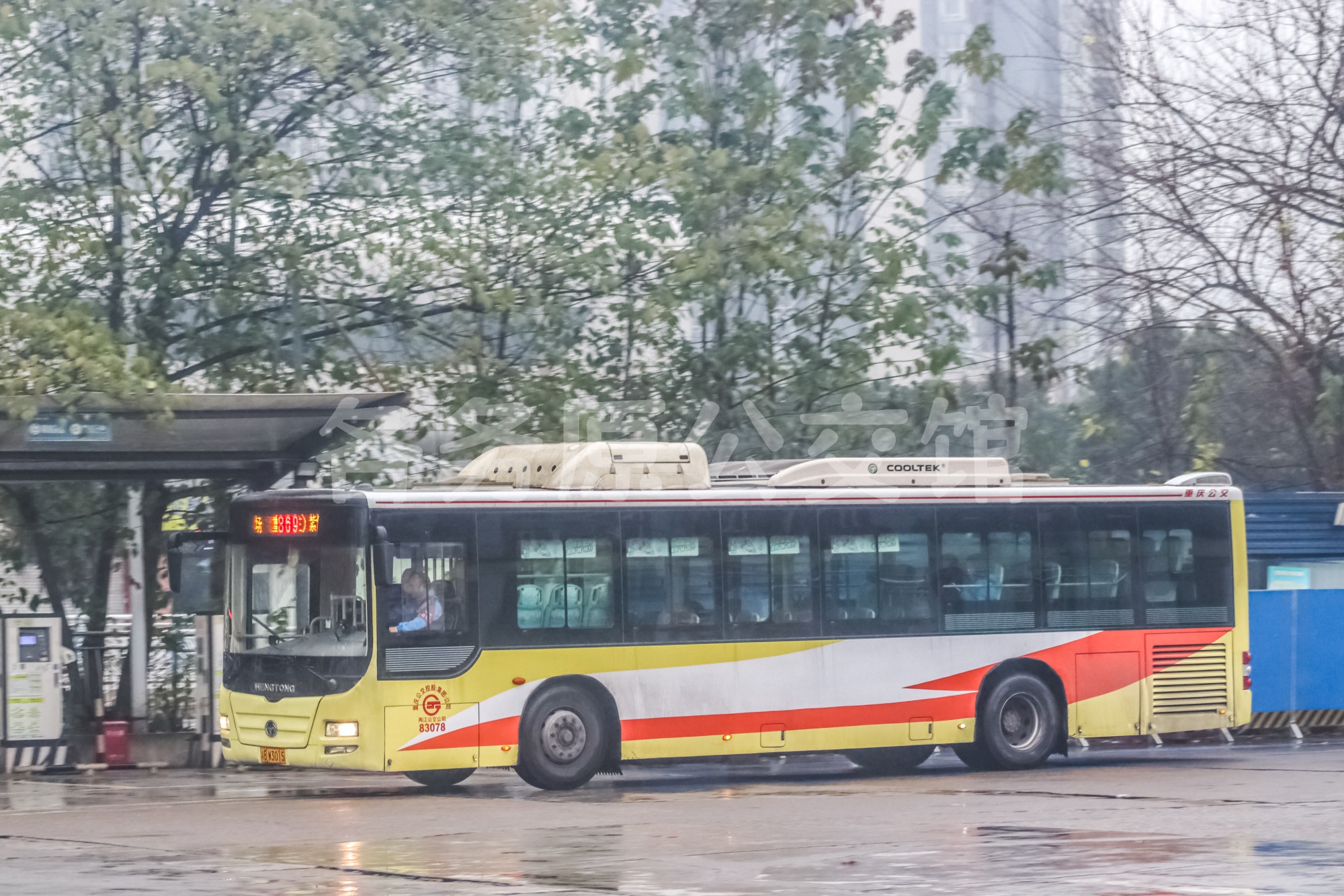 热门图片