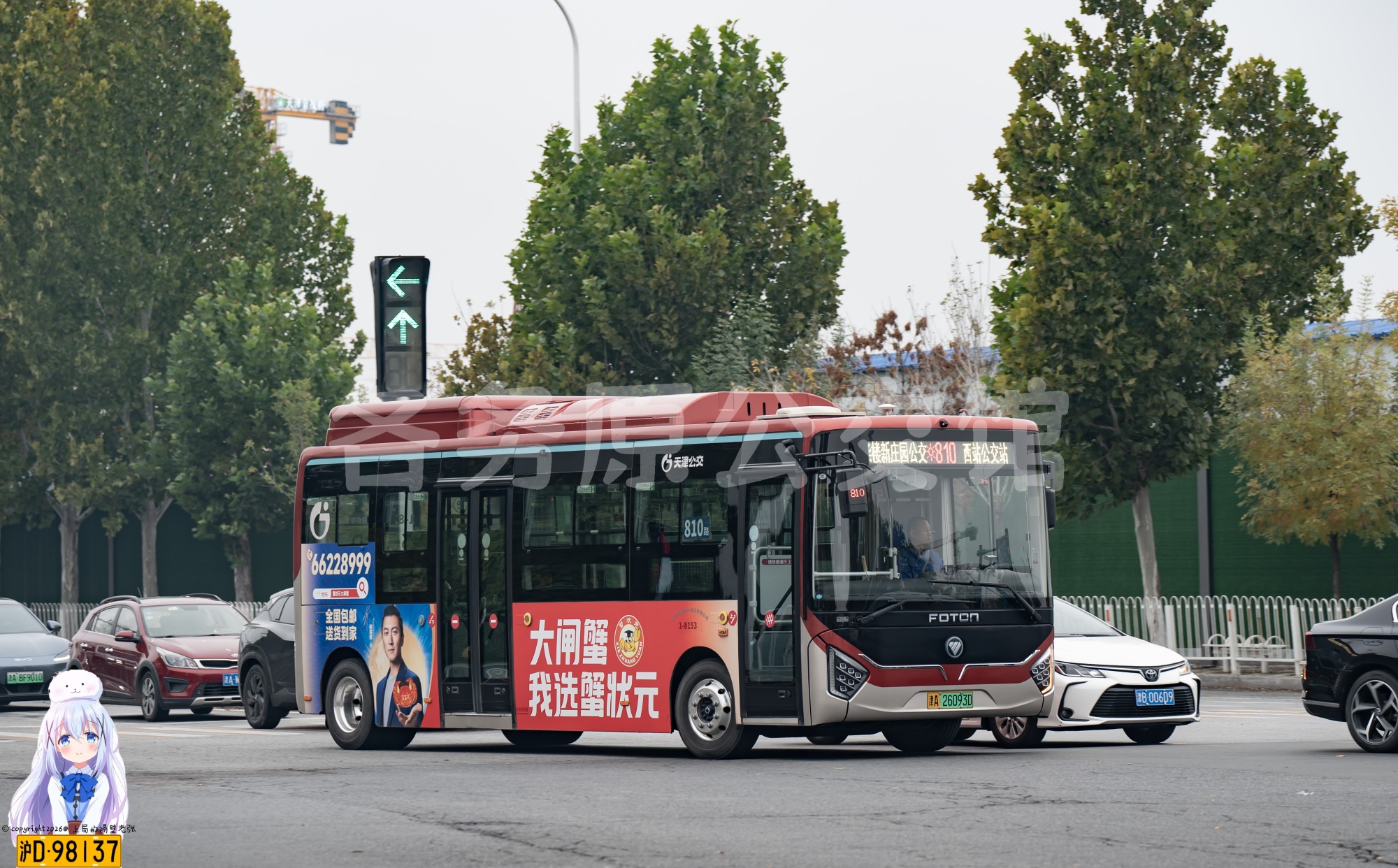 未命名图片