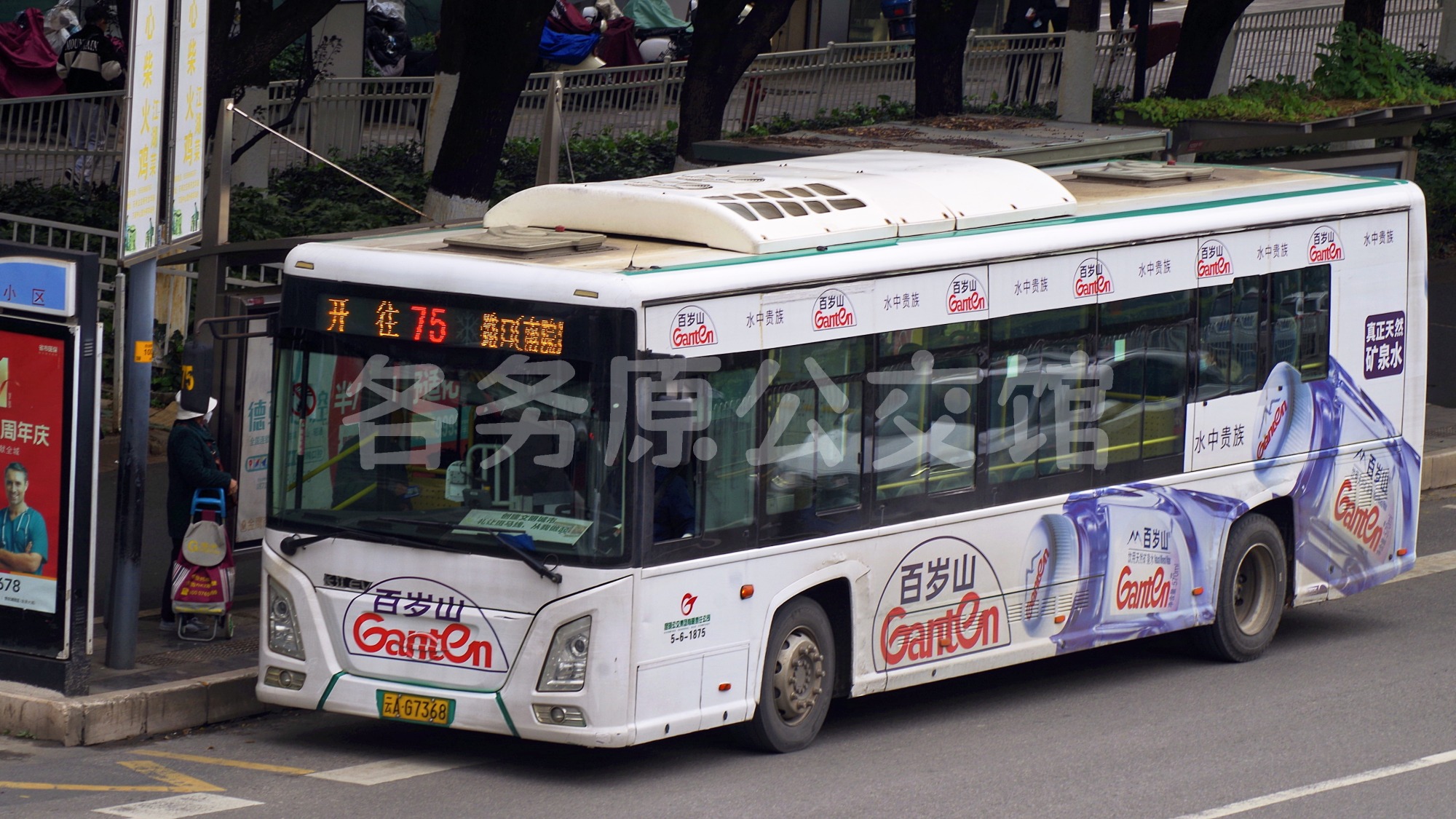 热门图片