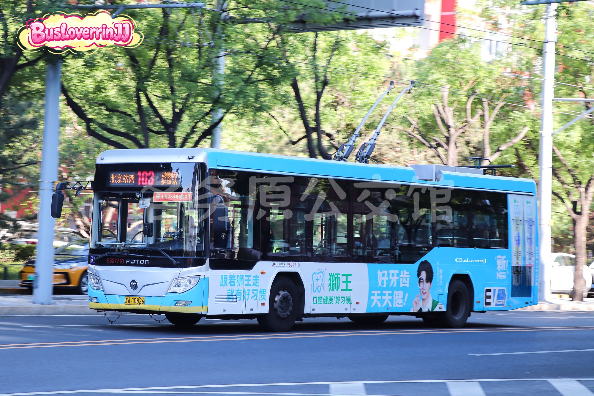 热门图片