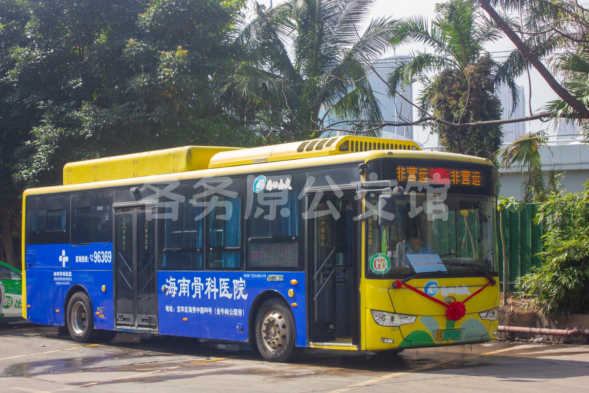 热门图片