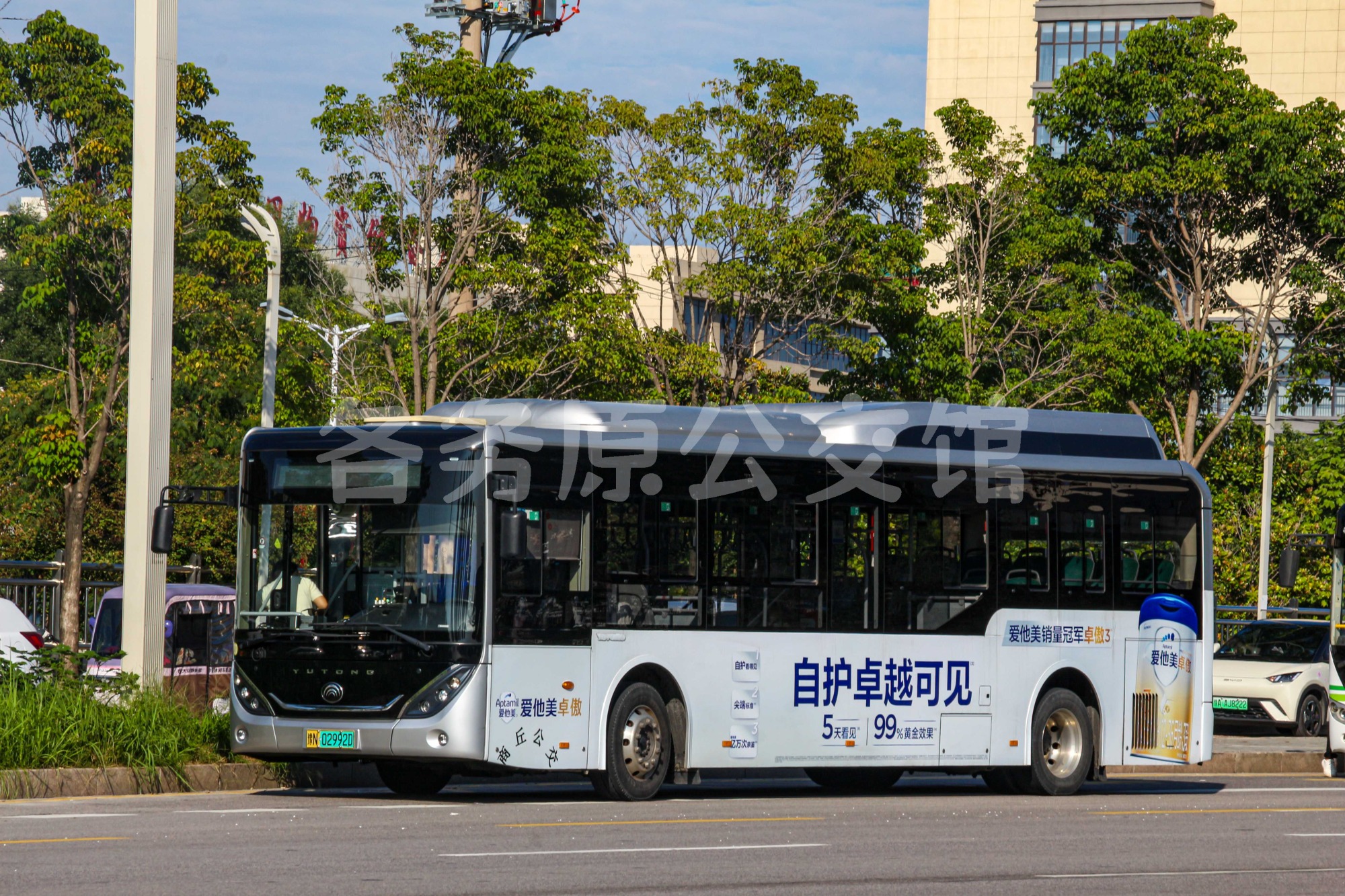 热门图片
