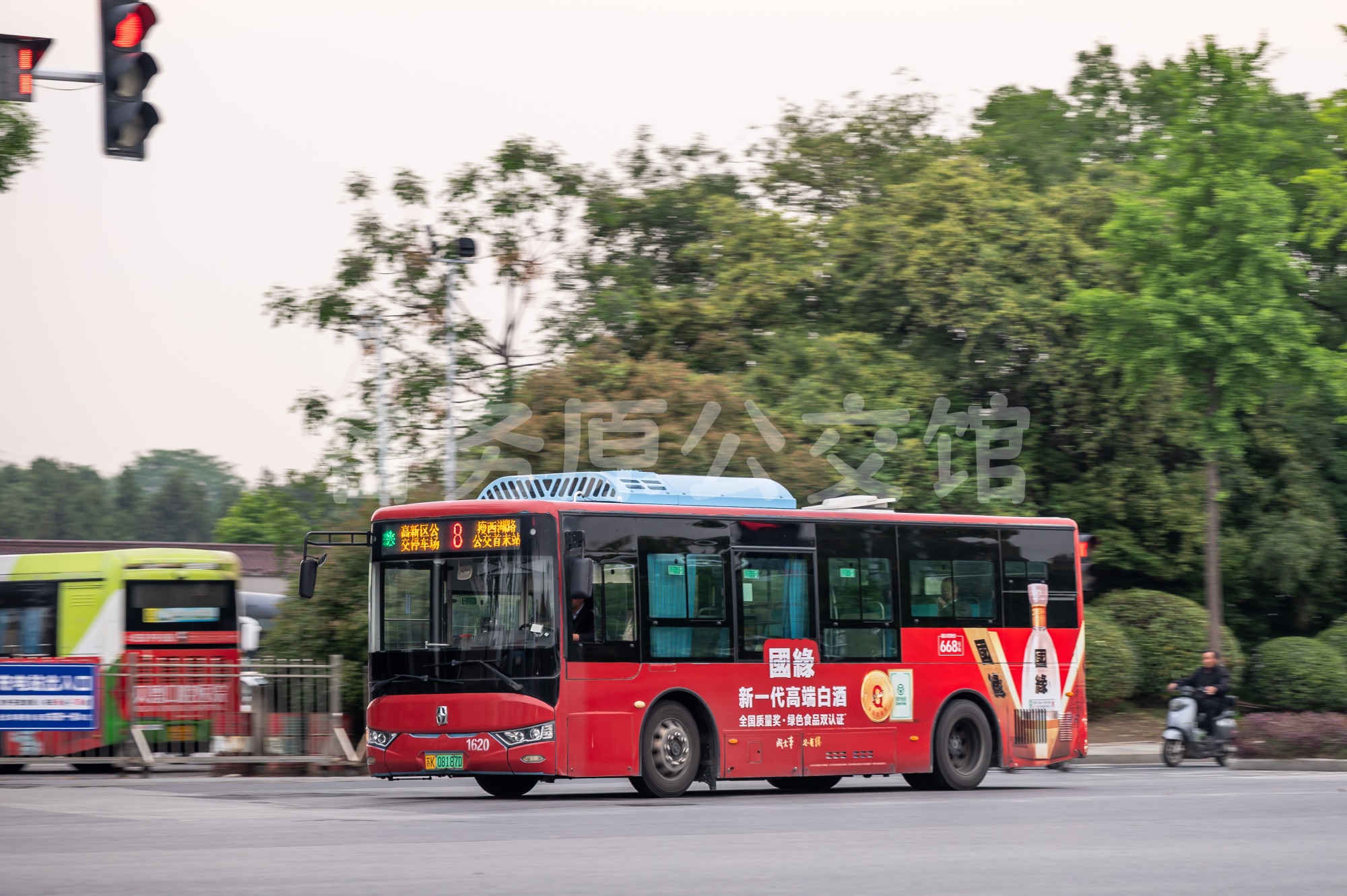 热门图片