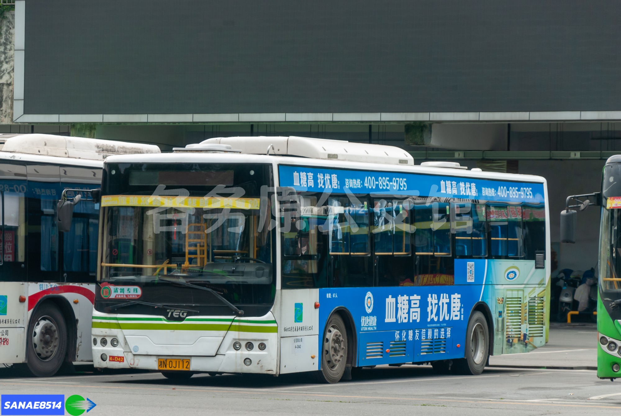 热门图片