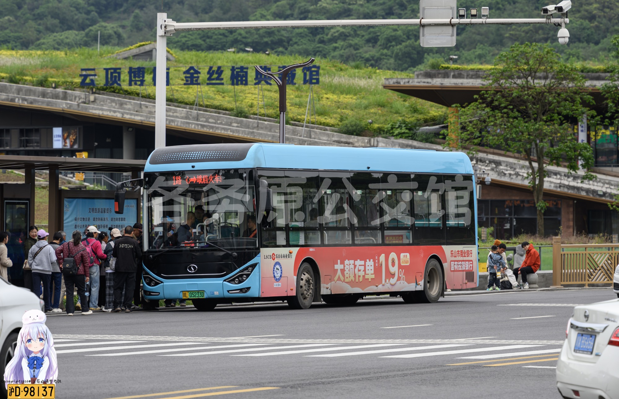 CDK6117CBEV4图片