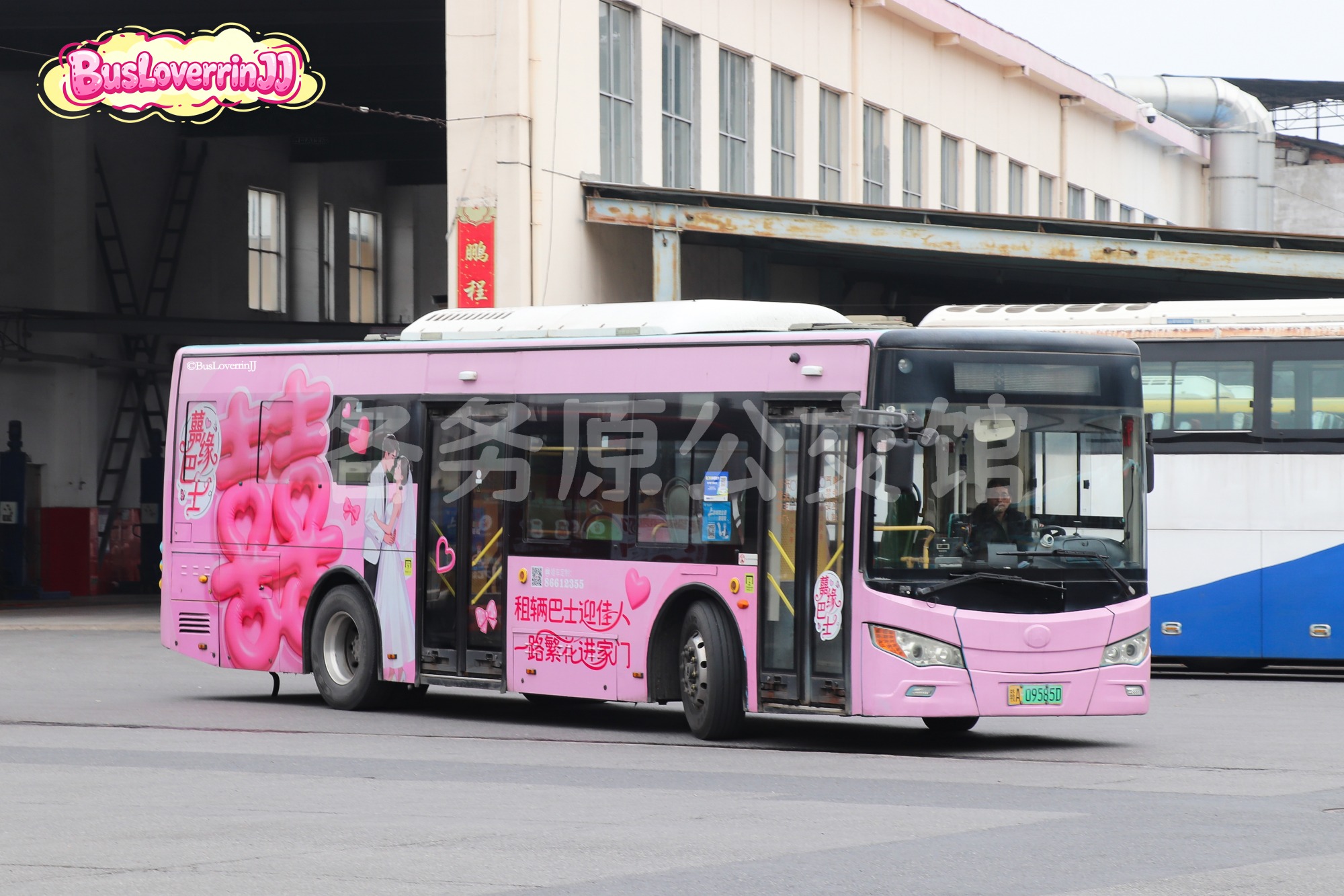JMV6105GRBEV8图片